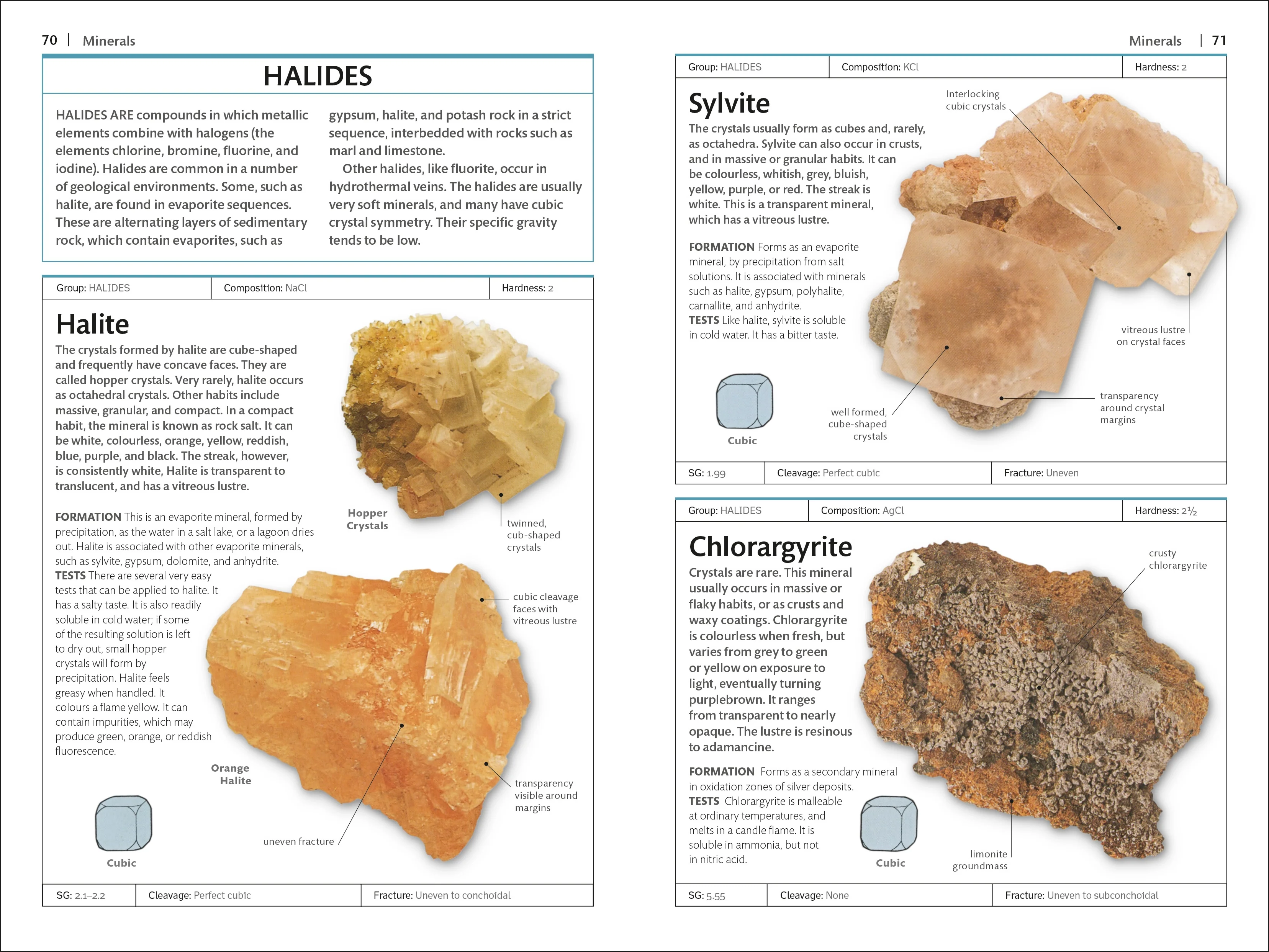 Rocks & Minerals - Image 2