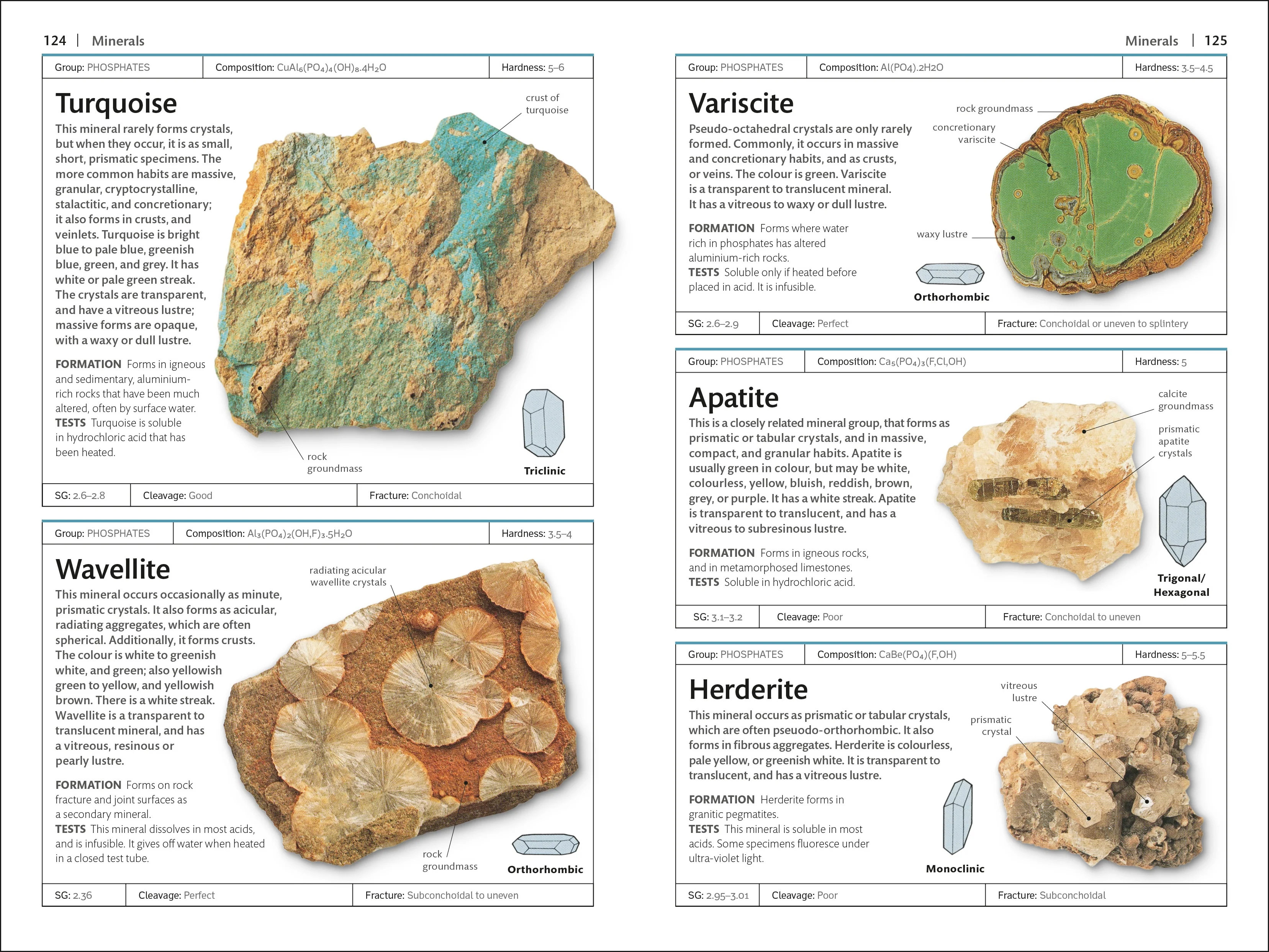 Rocks & Minerals - Image 4