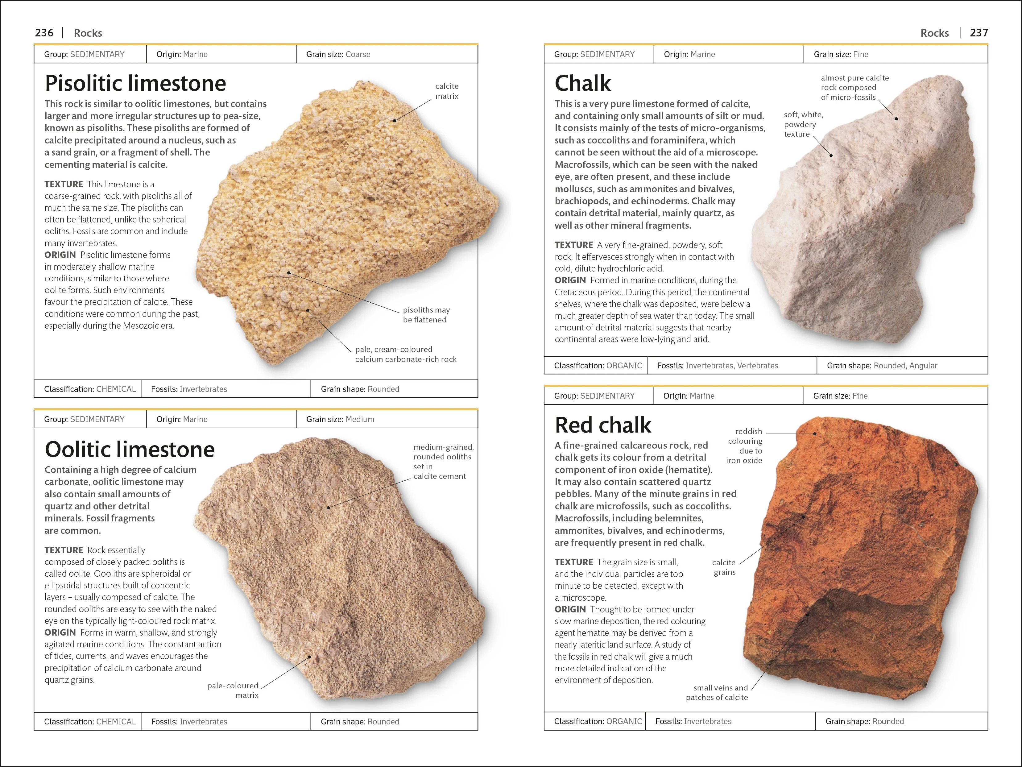 Rocks & Minerals - Image 6