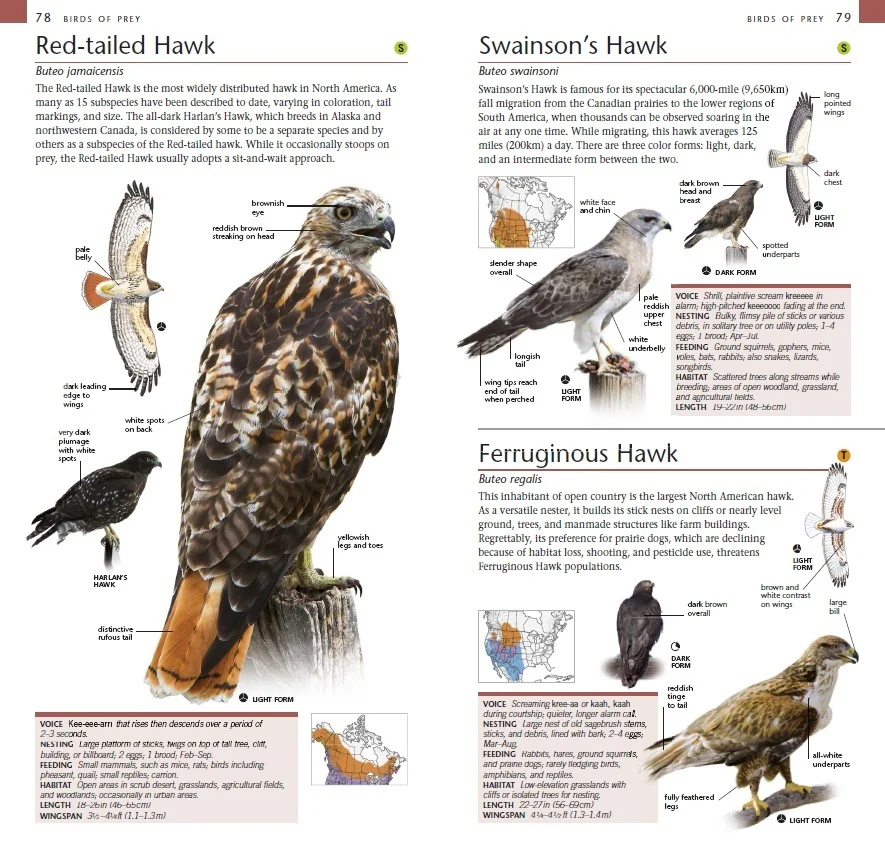 Pocket Birds of Canada - Image 3