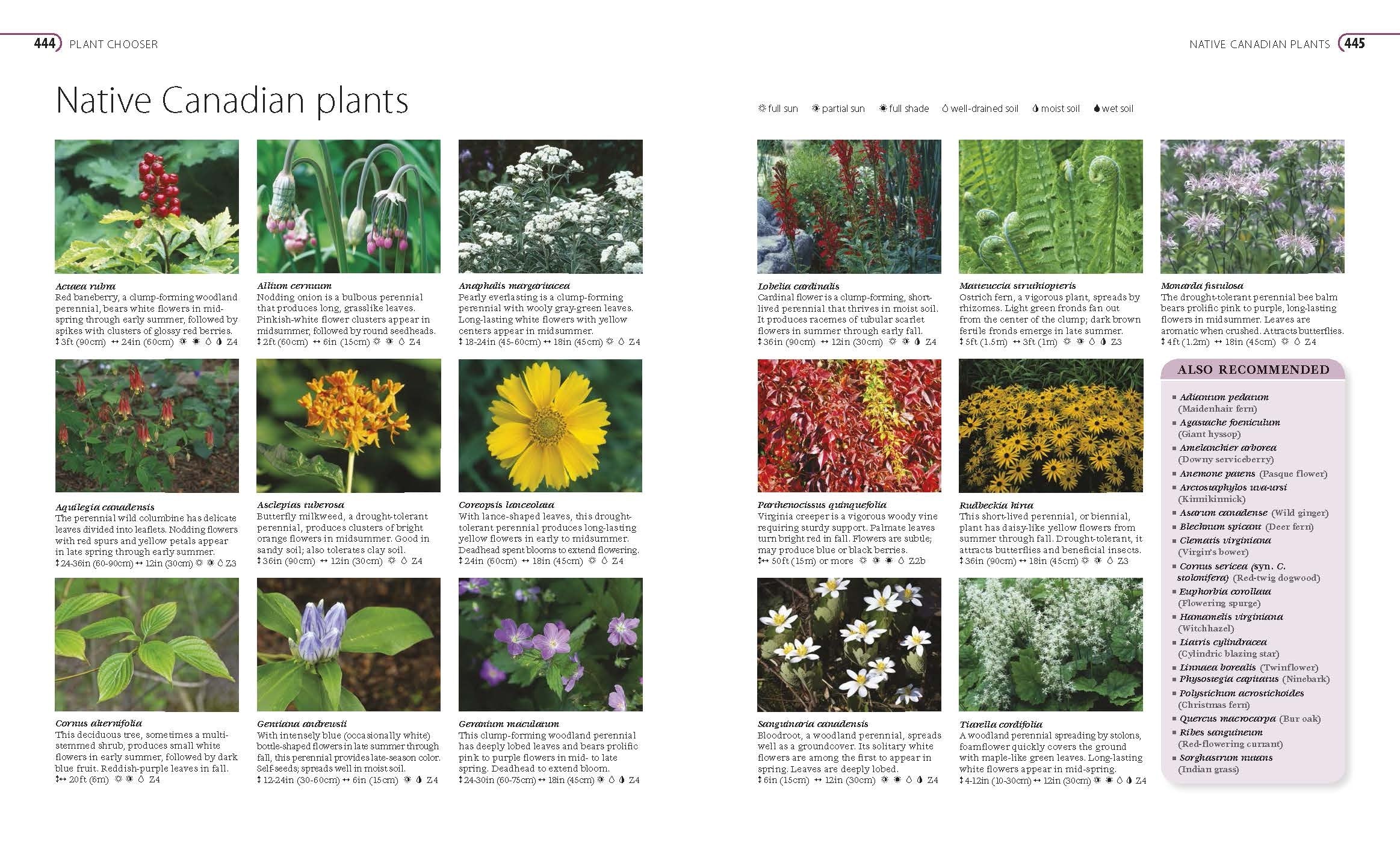 Canadian Gardener's Guide 3rd Edition - Image 6