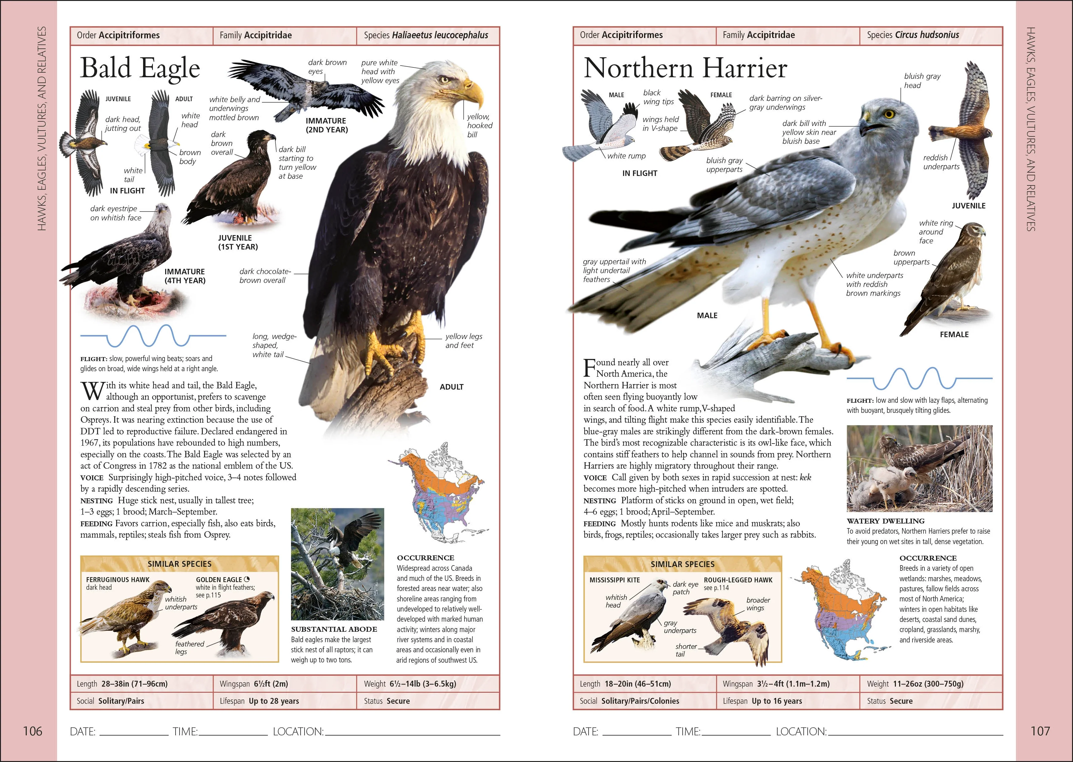 Birds of Eastern Canada 2nd Edition - Image 4