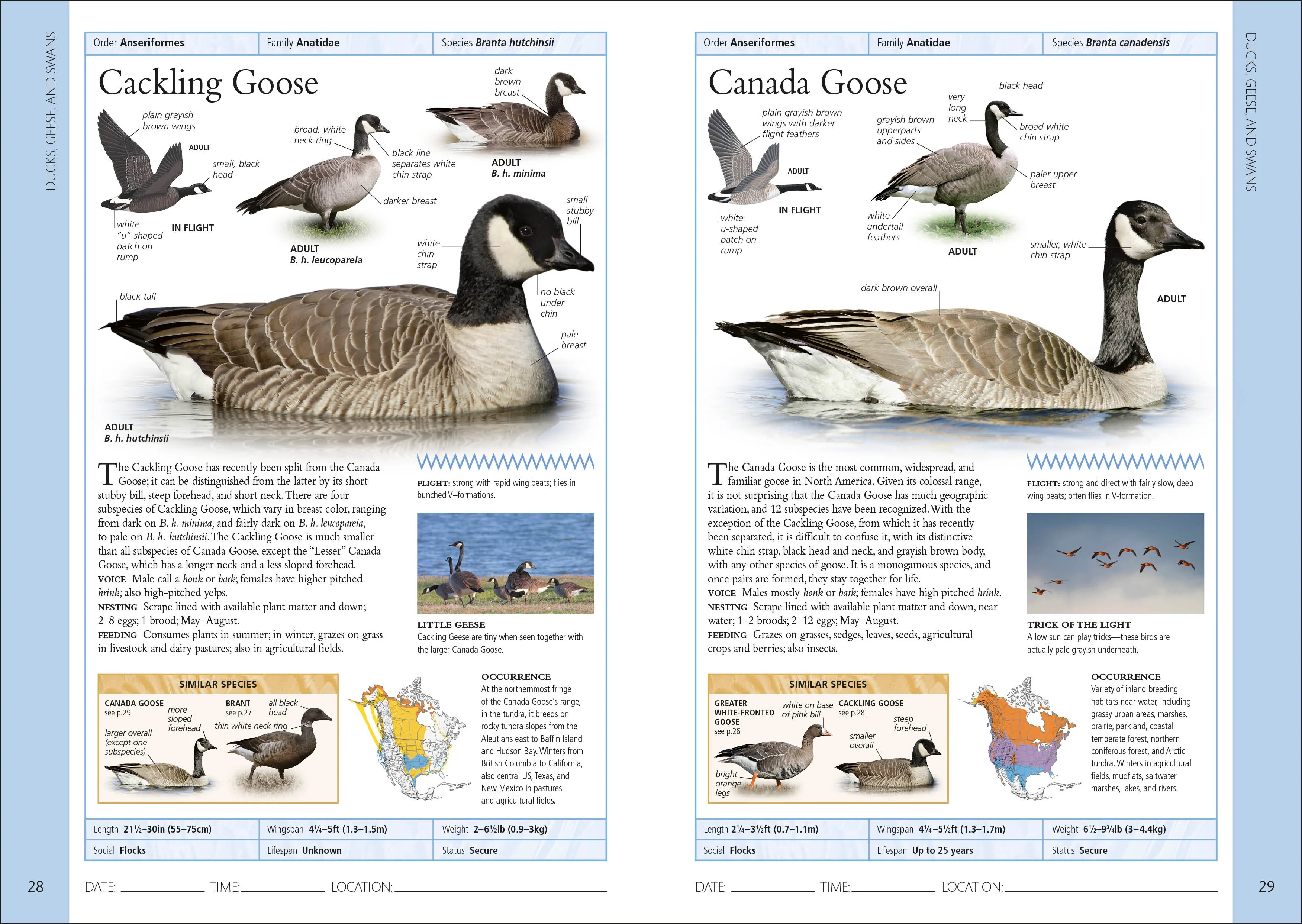 Birds of Western Canada 2nd Edition - Image 3