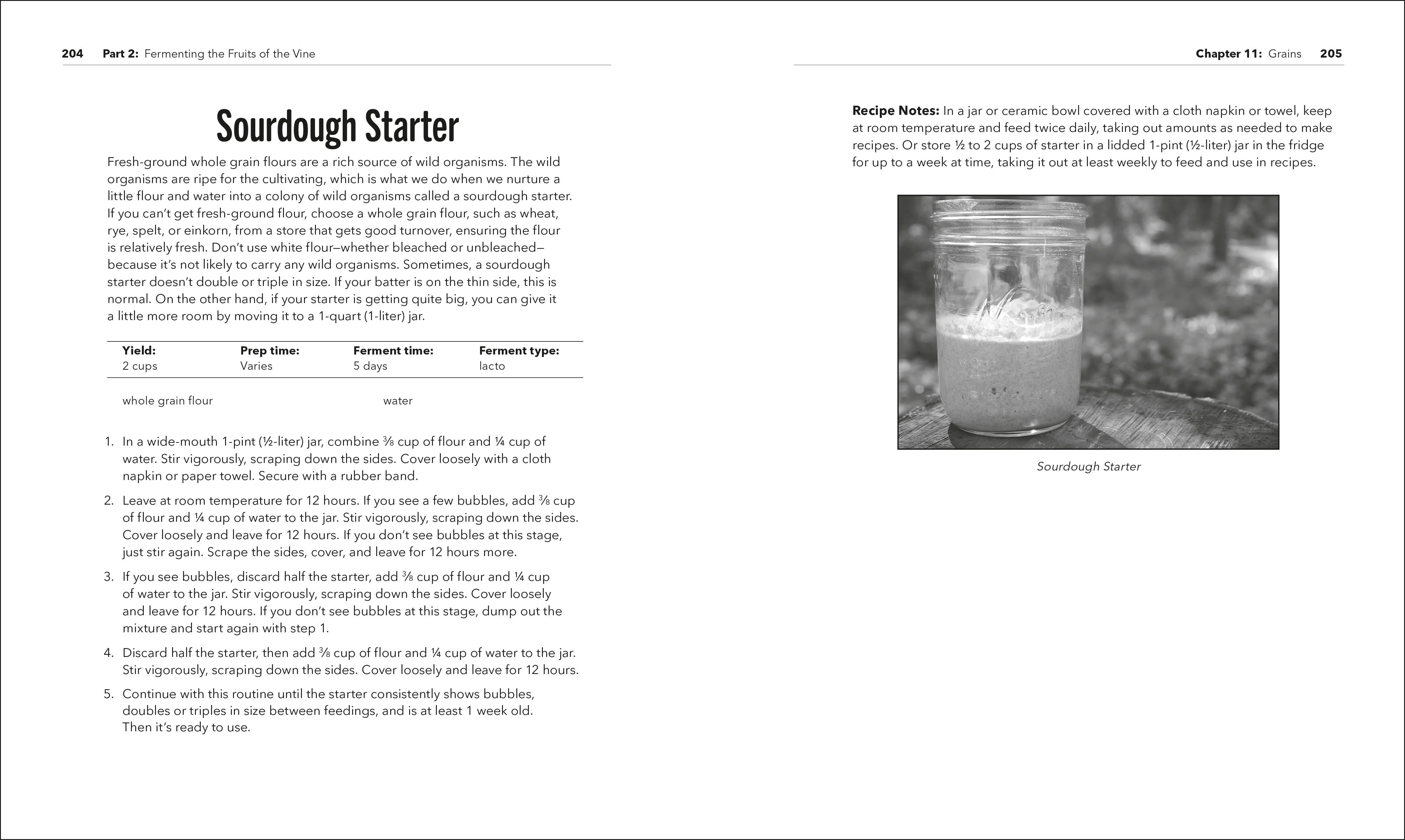 Fermenting - Image 7
