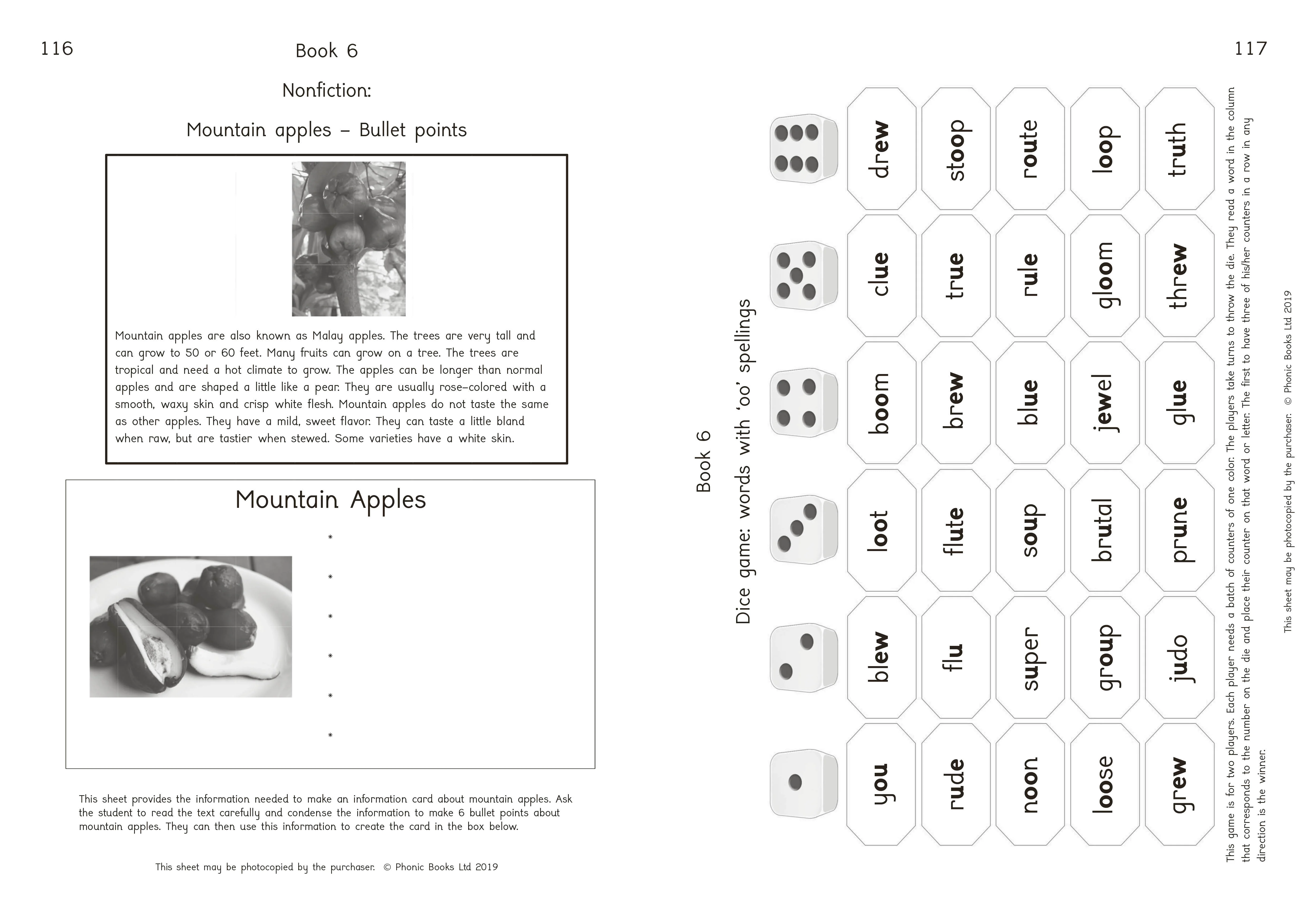 Phonic Books Island Adventure Activities - Image 4