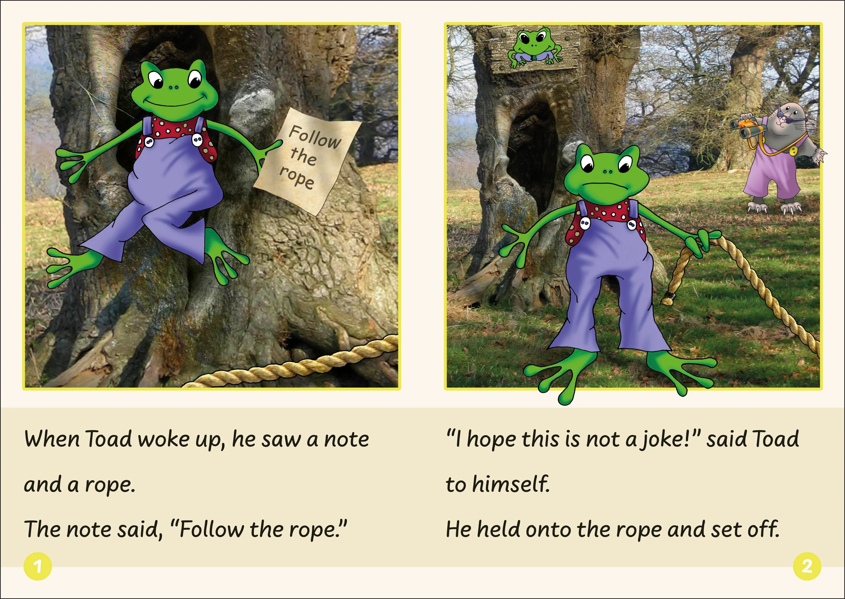 Phonic Books Dandelion Readers VCe Spellings - Image 3