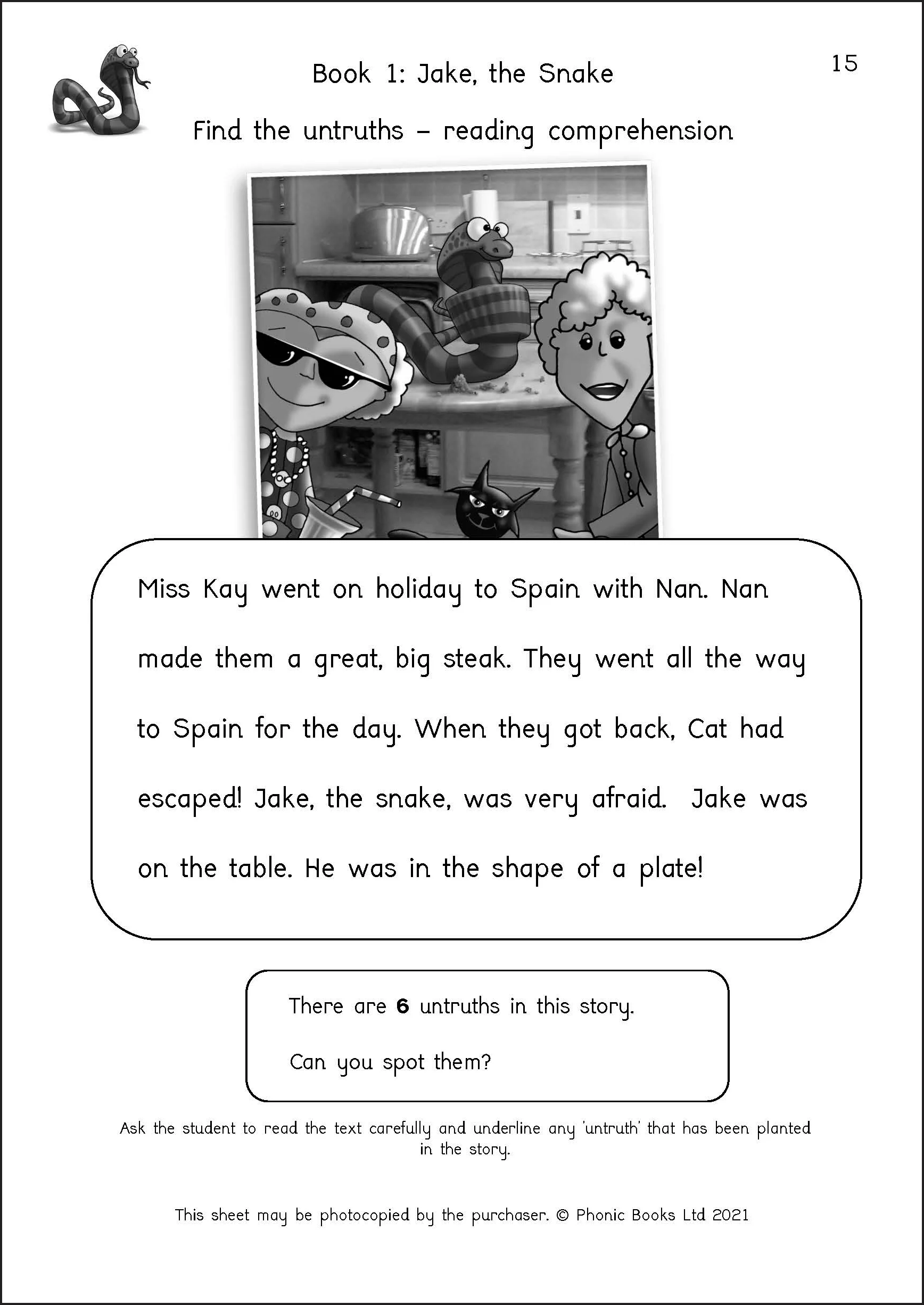 Phonic Books Dandelion Readers Vowel Spellings Level 3 Activities - Image 2