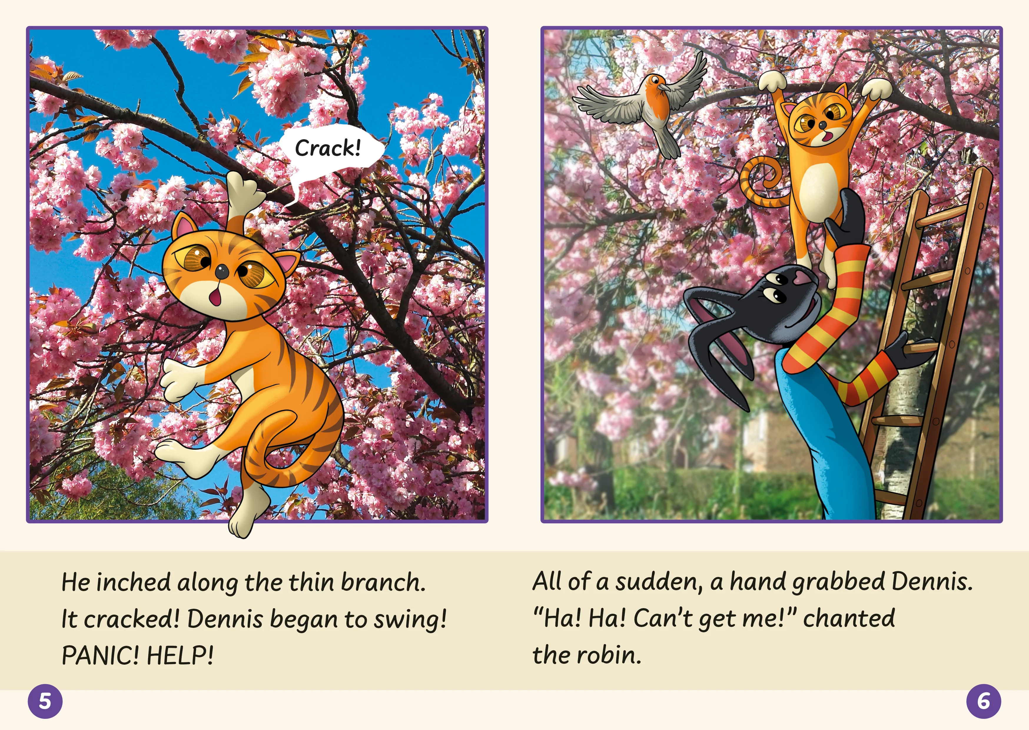 Phonic Books Dandelion Launchers Units 16-20 - Image 3
