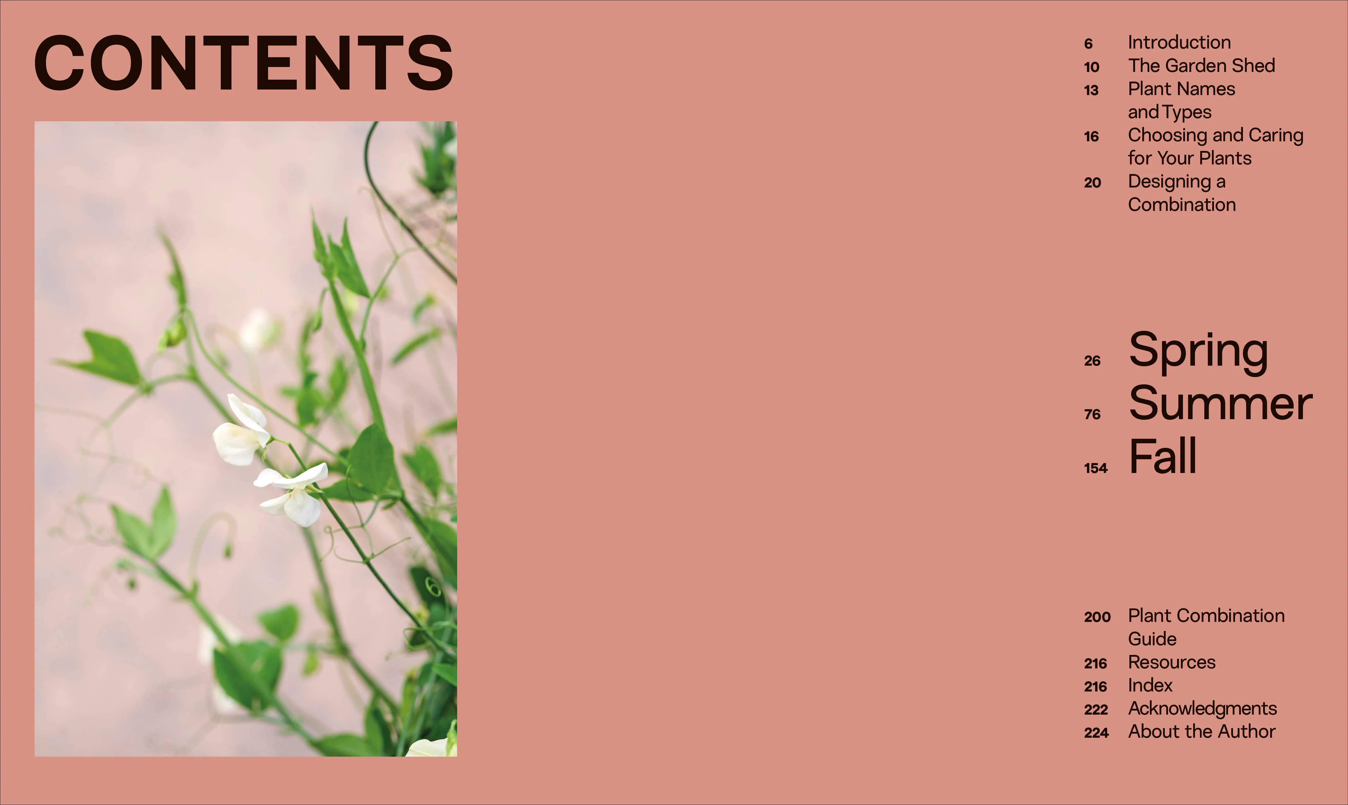 What Grows Together - Image 2