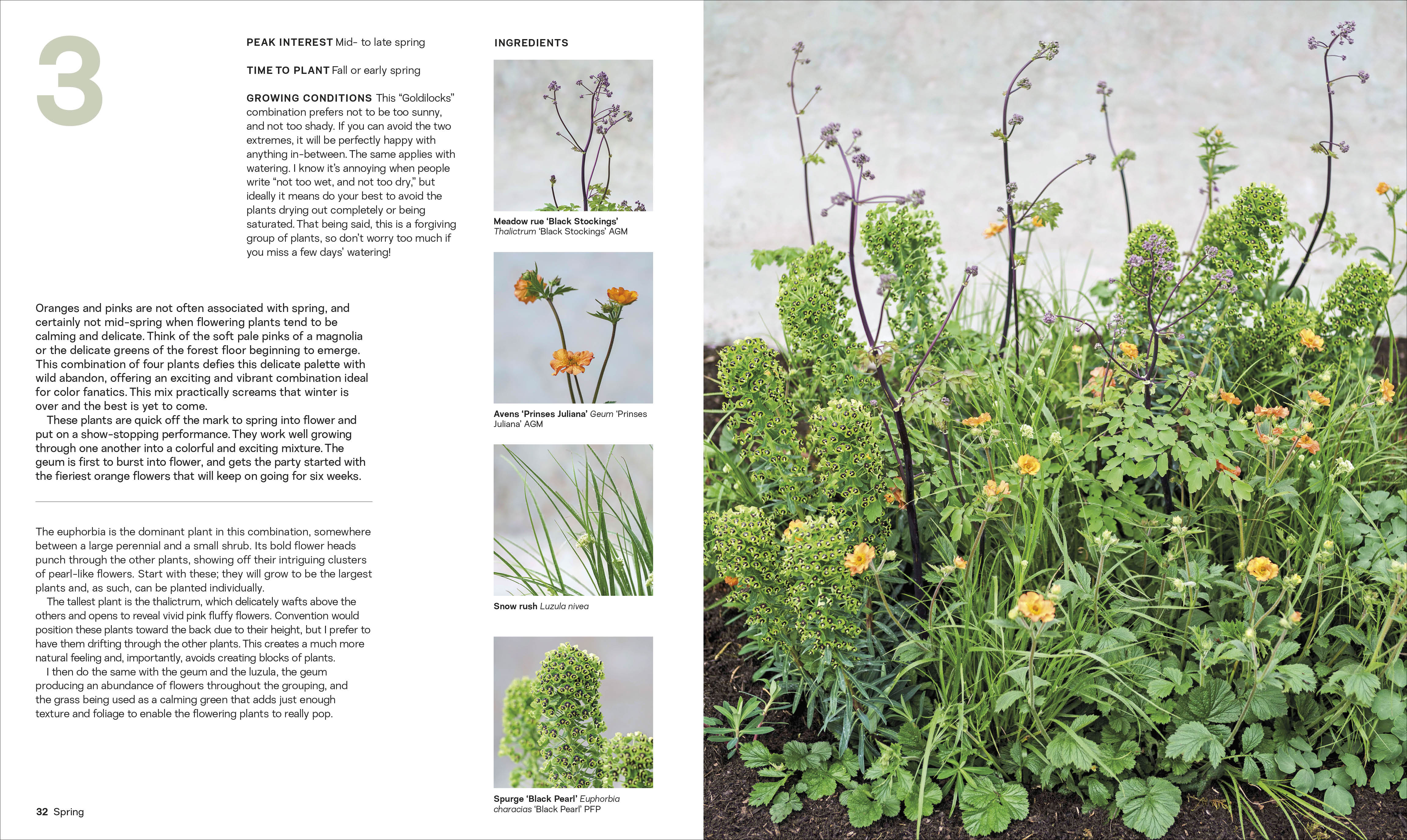 What Grows Together - Image 4