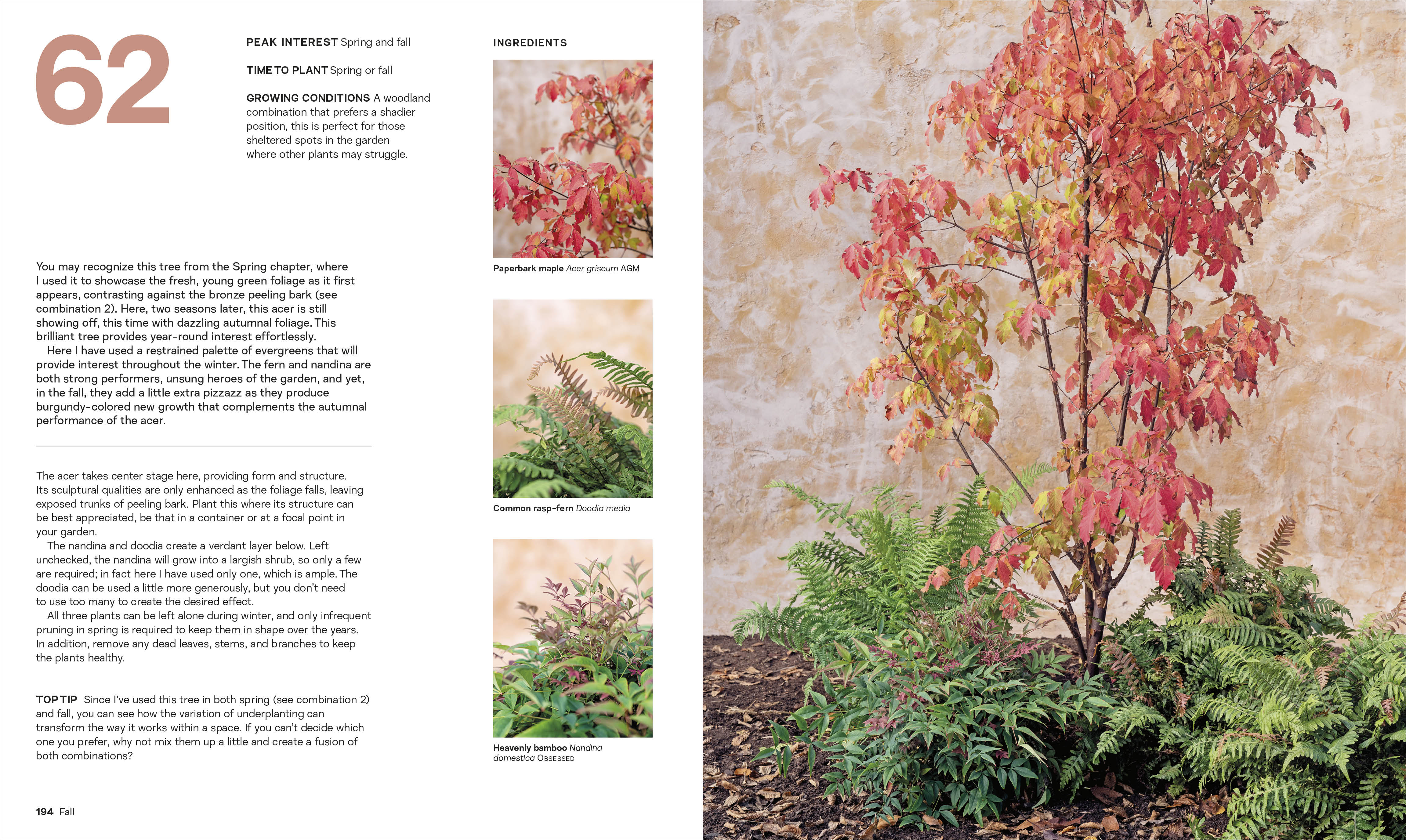 What Grows Together - Image 8