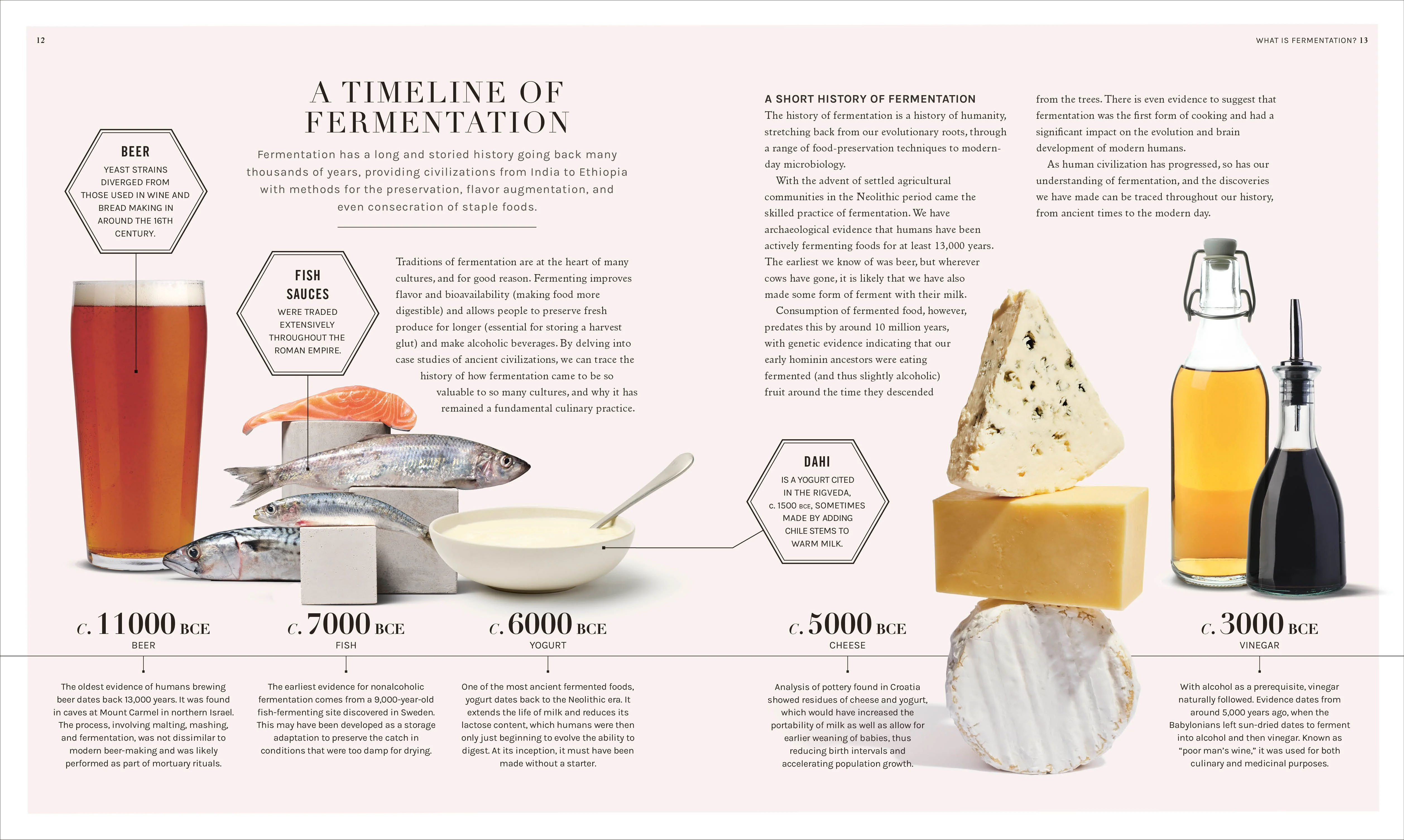 The Science of Fermentation - Image 3