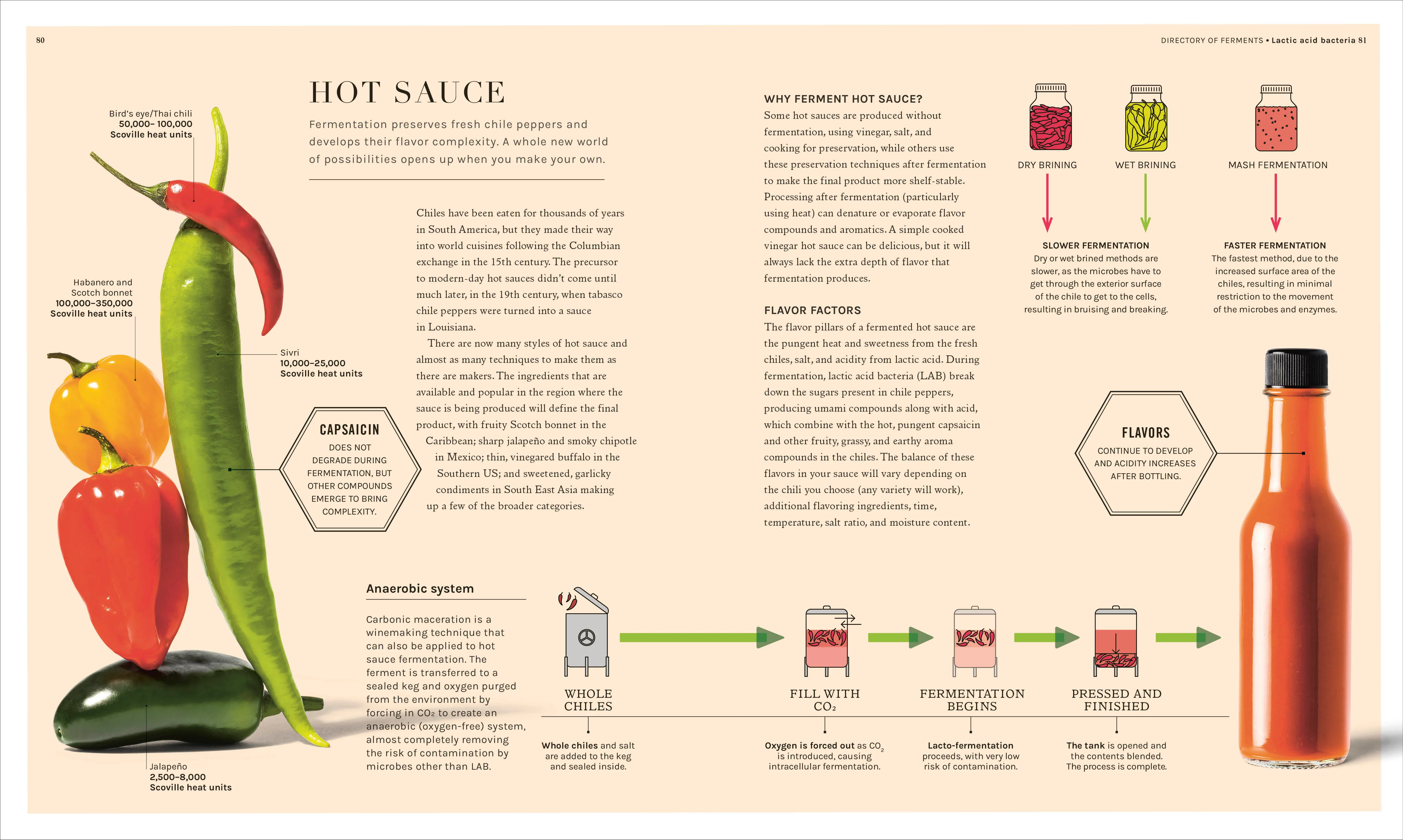 The Science of Fermentation - Image 5