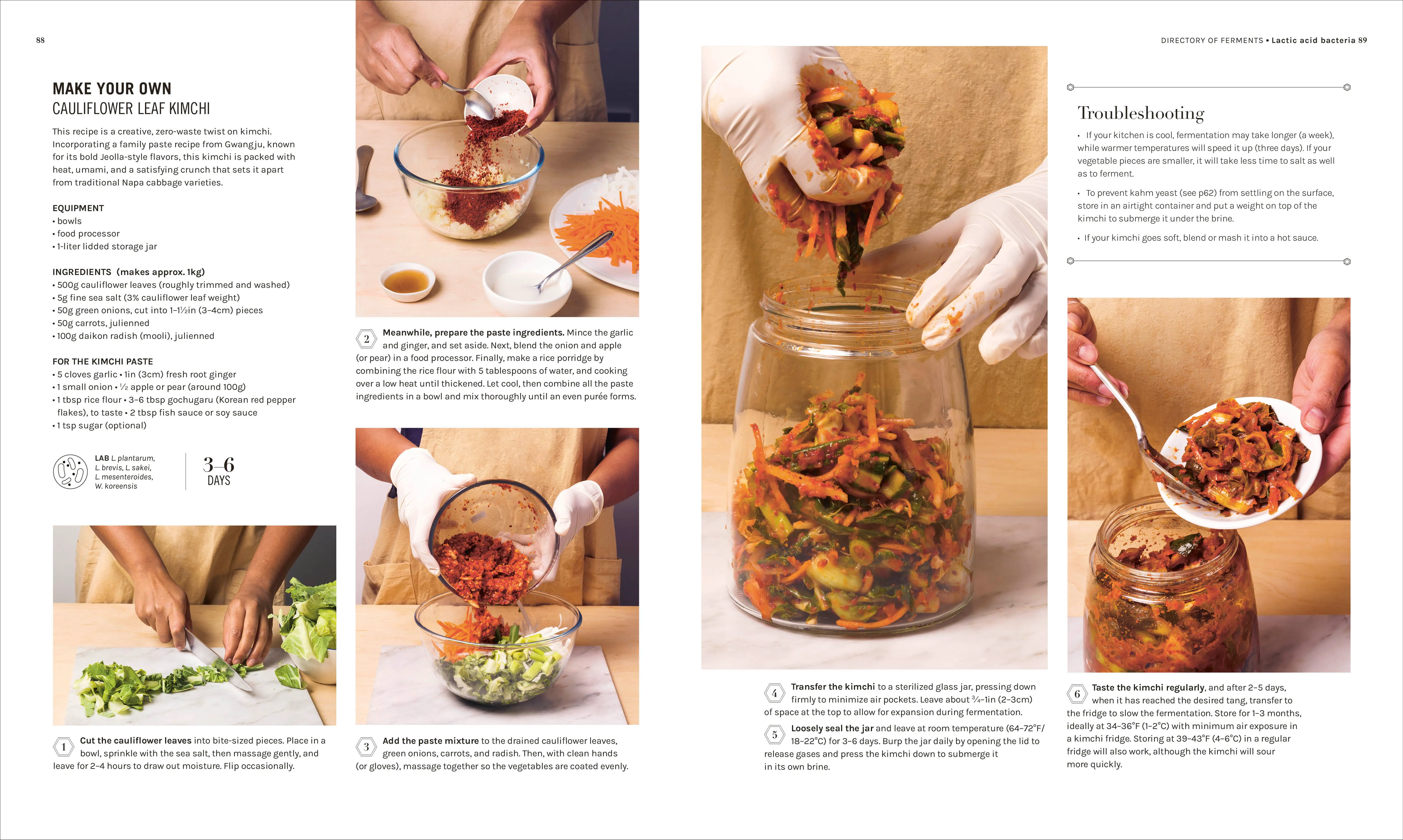 The Science of Fermentation - Image 6