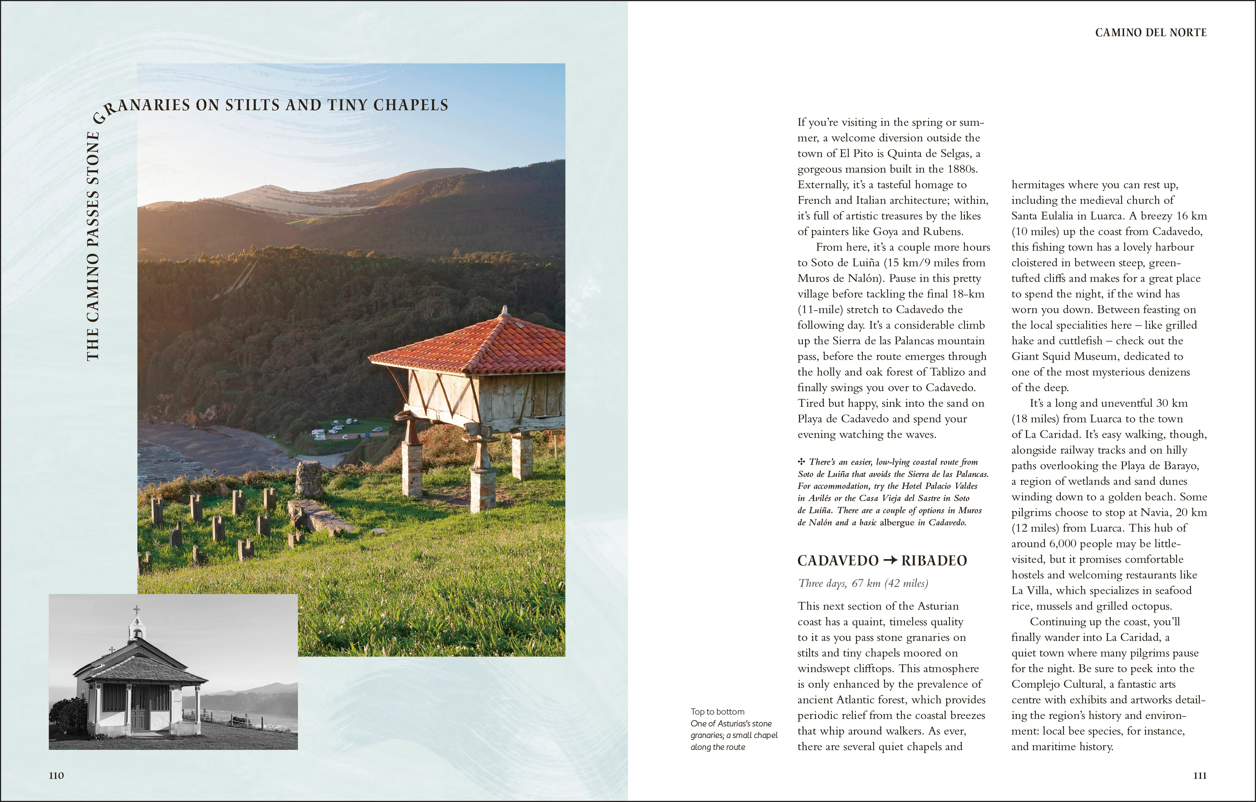 Walking the Camino de Santiago - Image 8