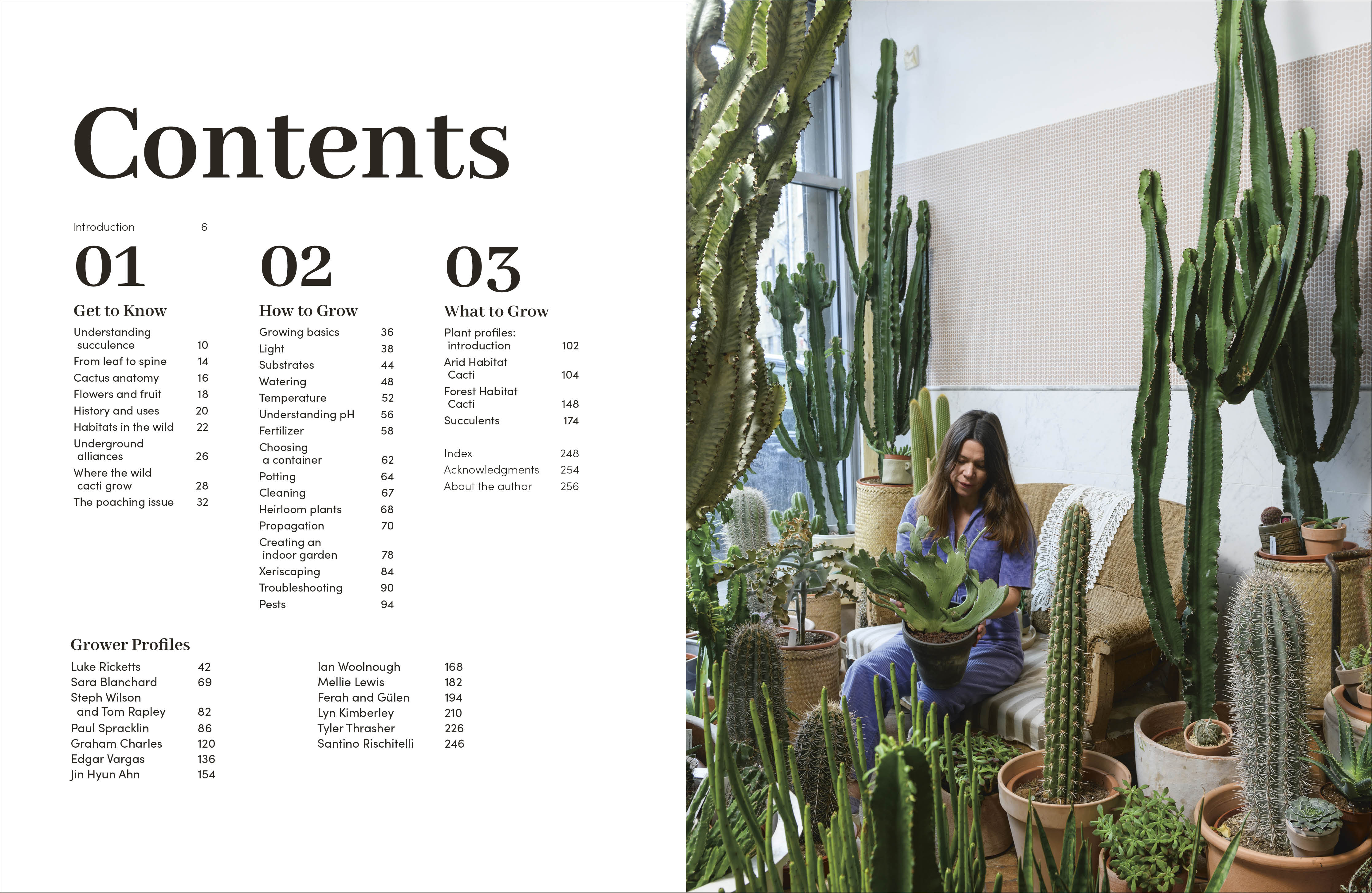 Cacti and Succulents - Image 2