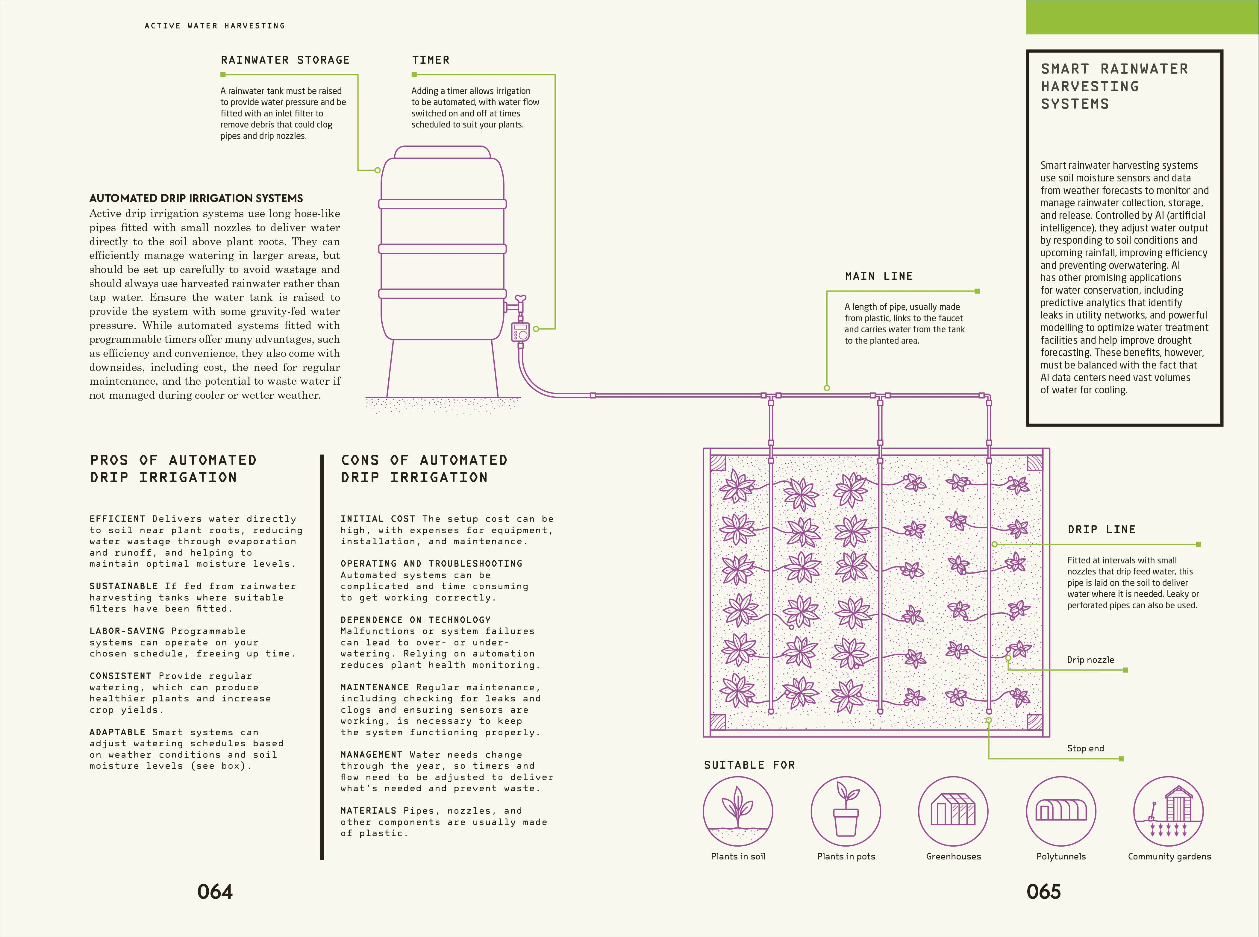 Waterwise Garden - Image 5