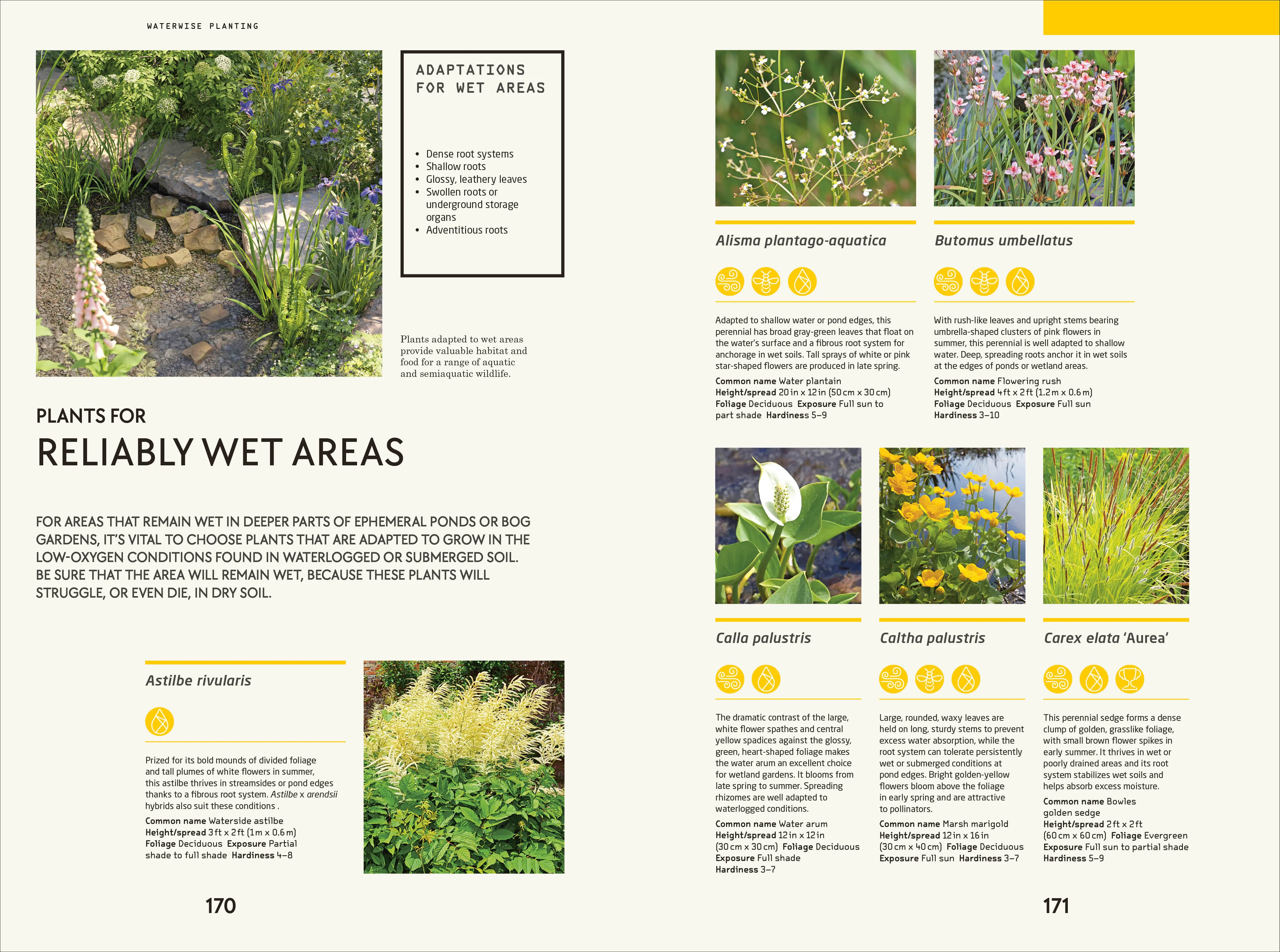 Waterwise Garden - Image 7