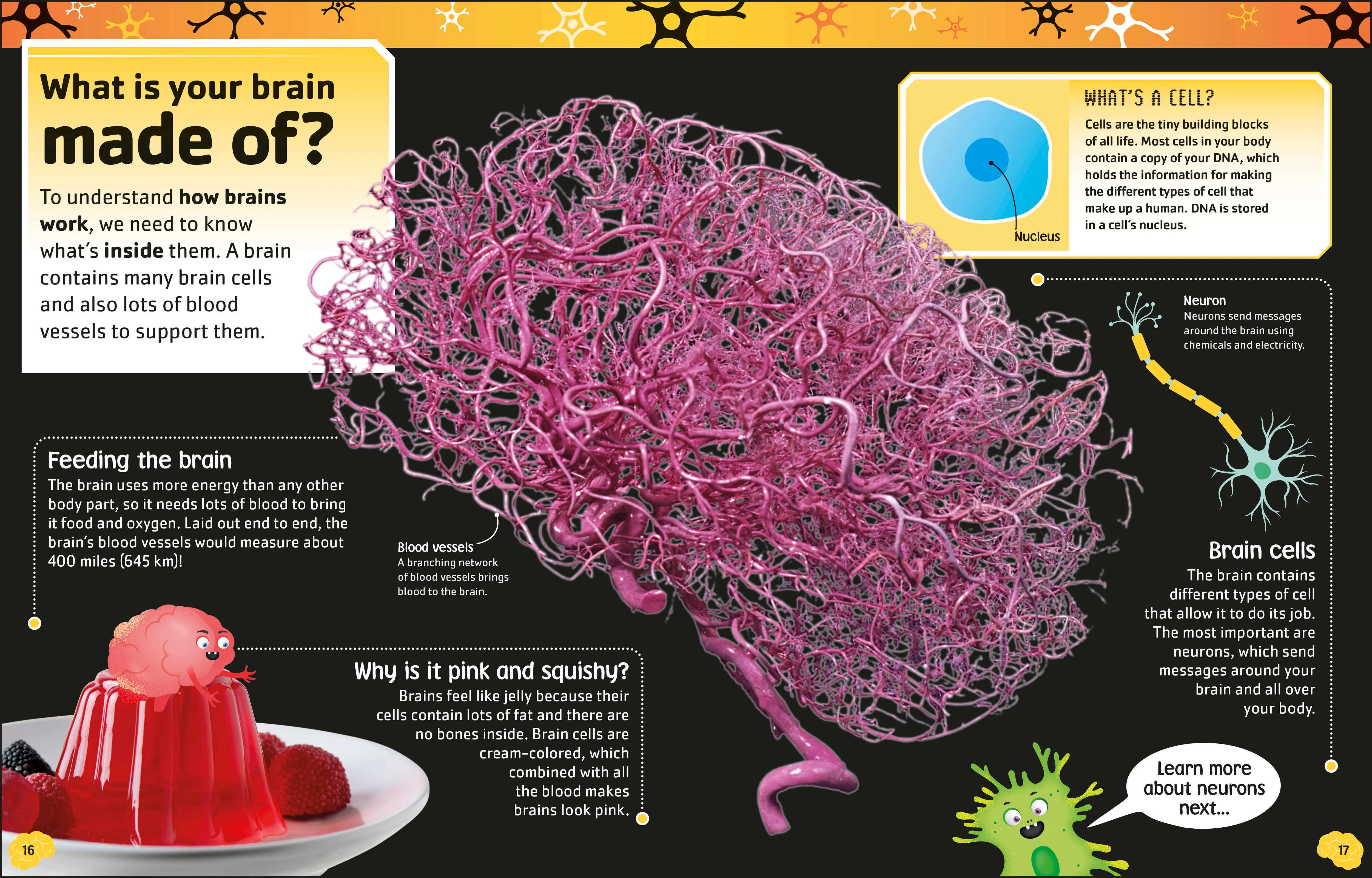The Brain Book - Image 2