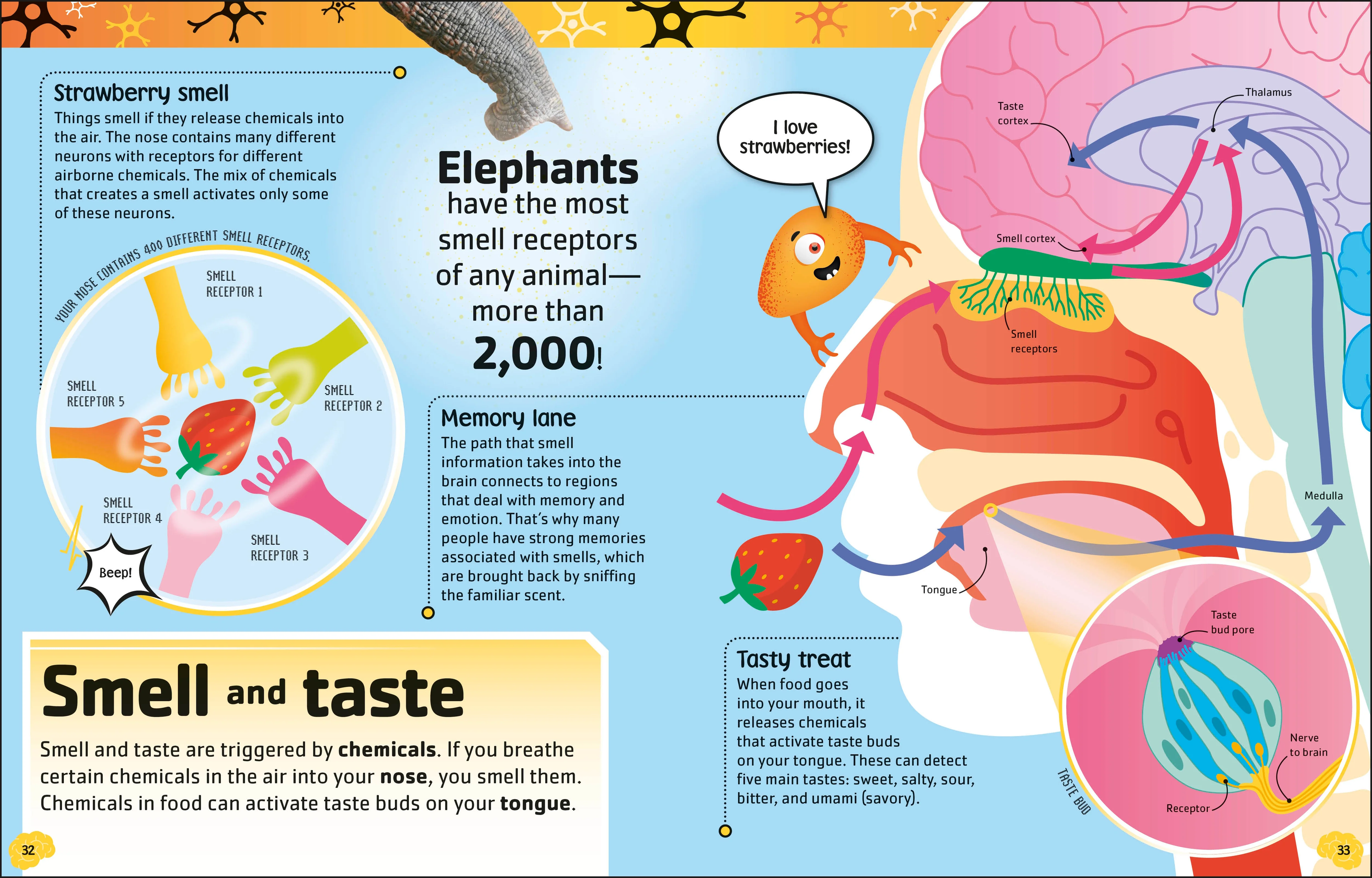 The Brain Book - Image 3