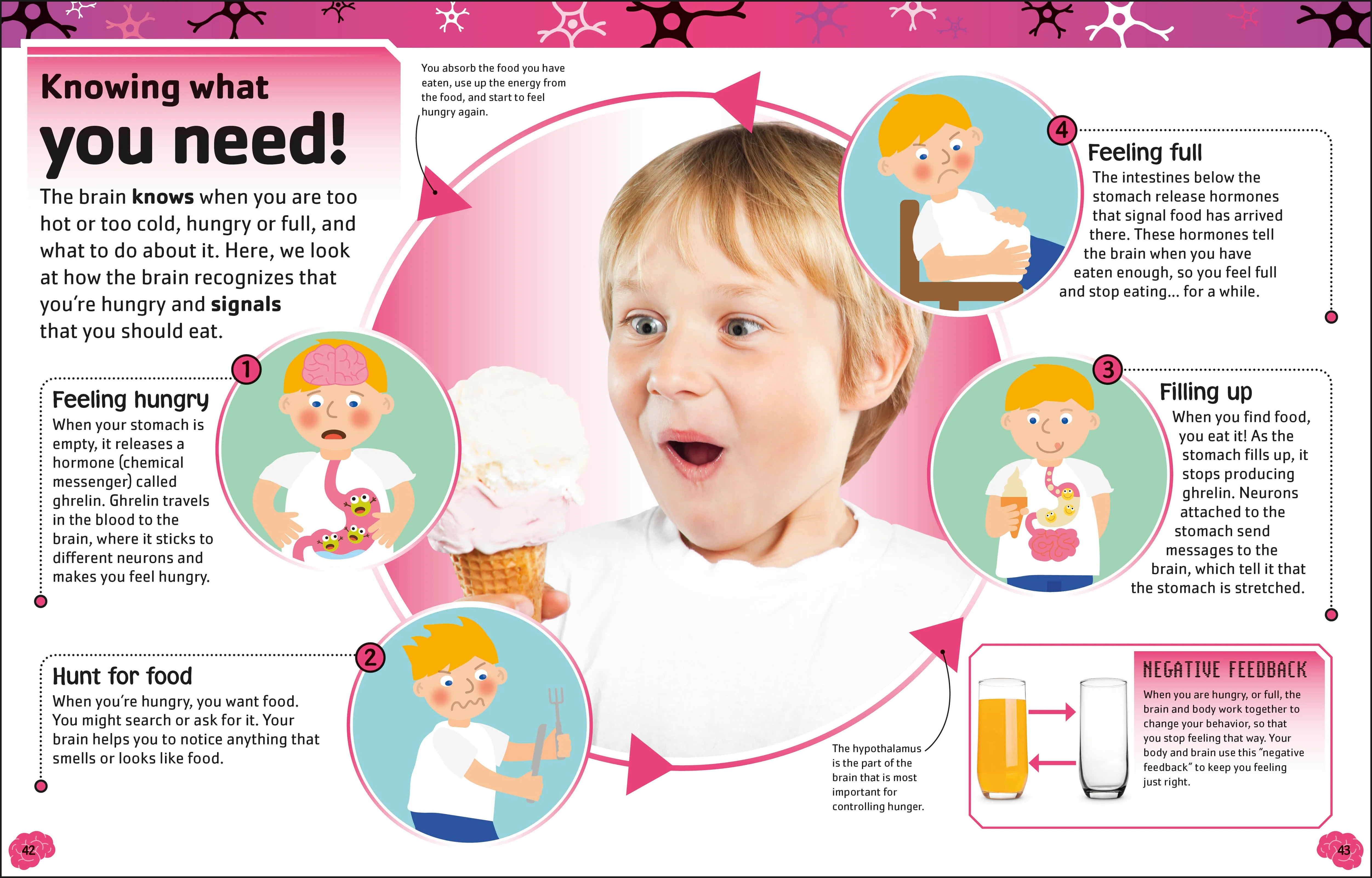 The Brain Book - Image 4