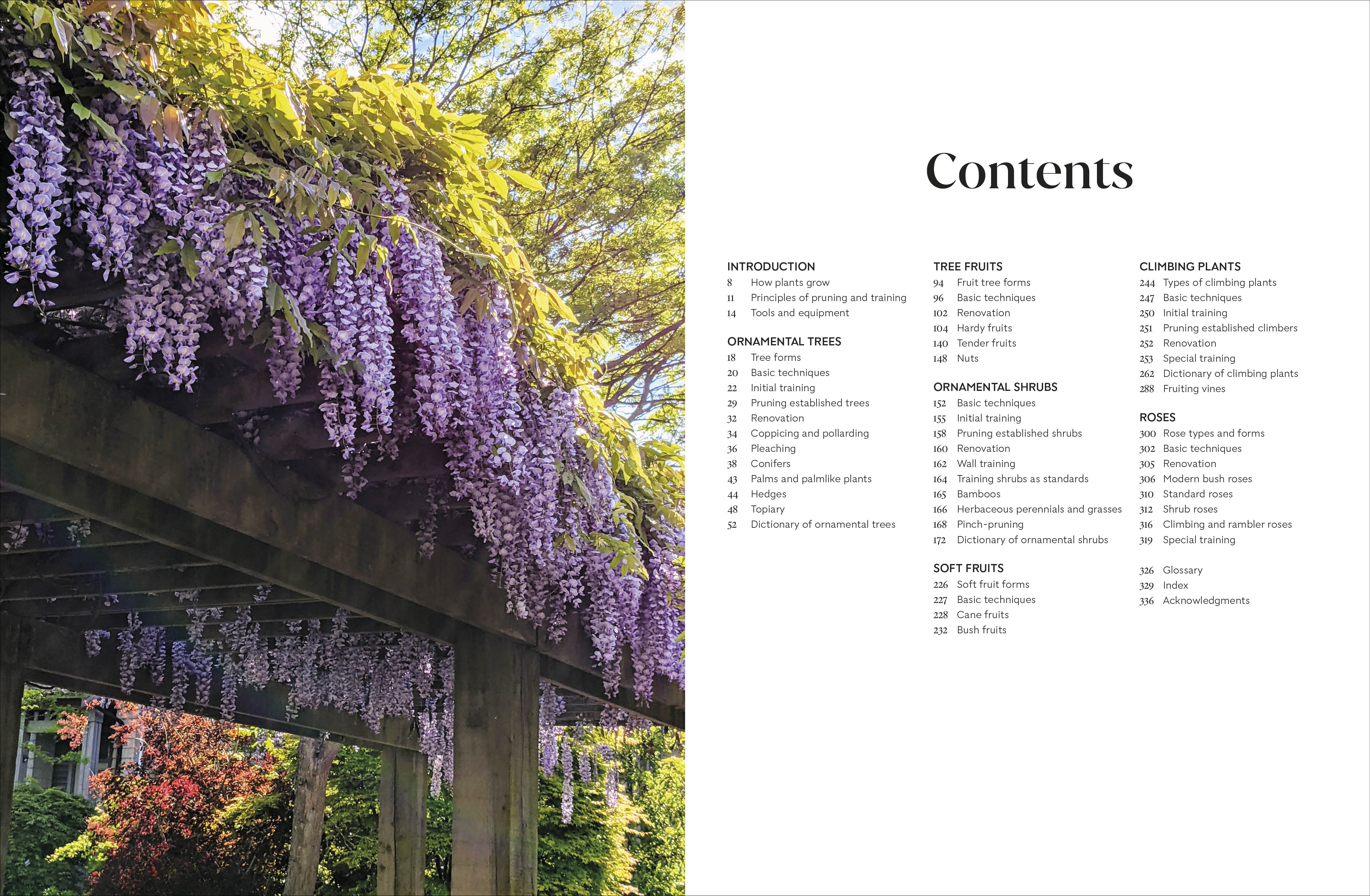 Pruning and Training - Image 2