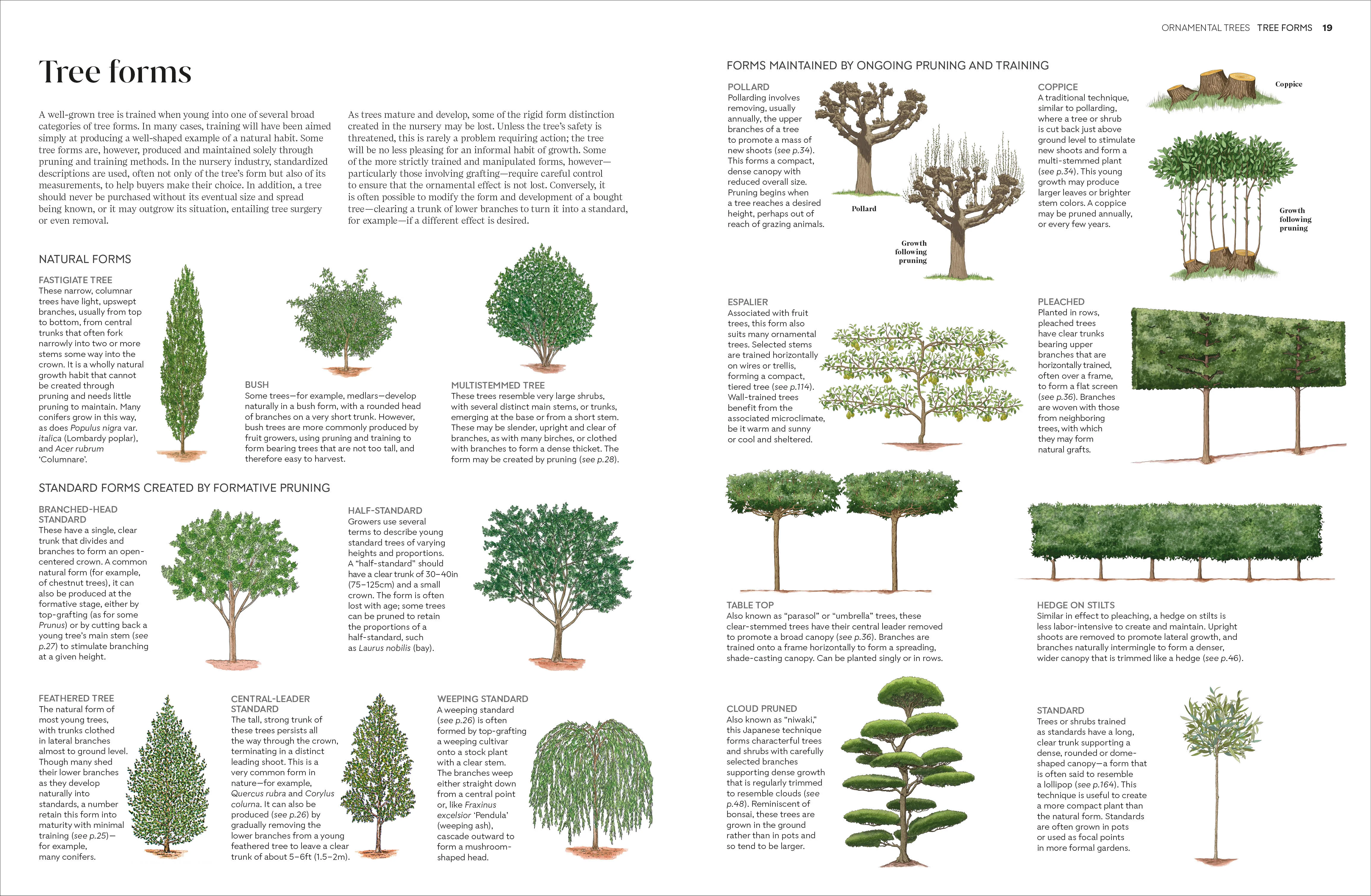 Pruning and Training - Image 3