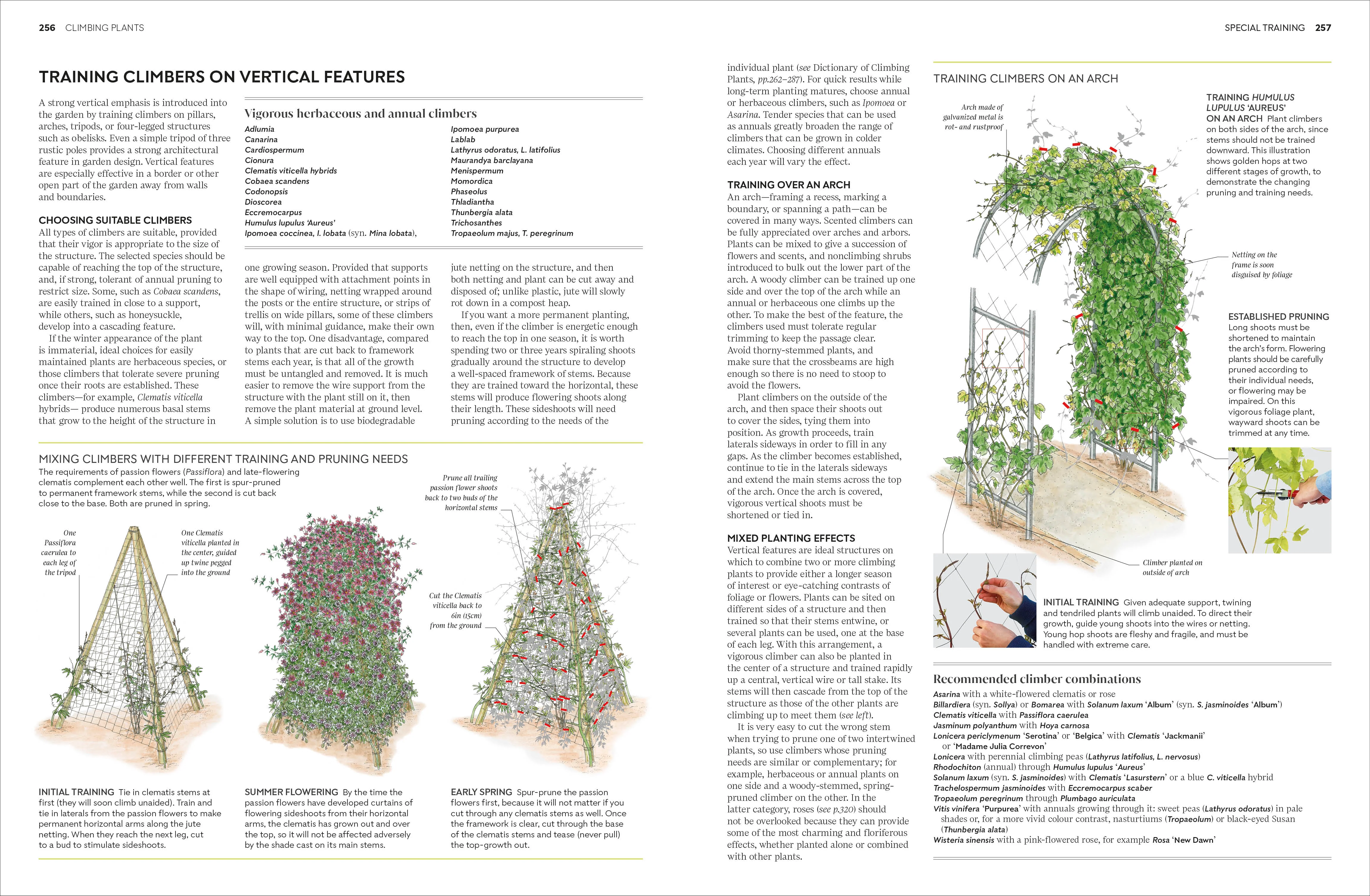 Pruning and Training - Image 7