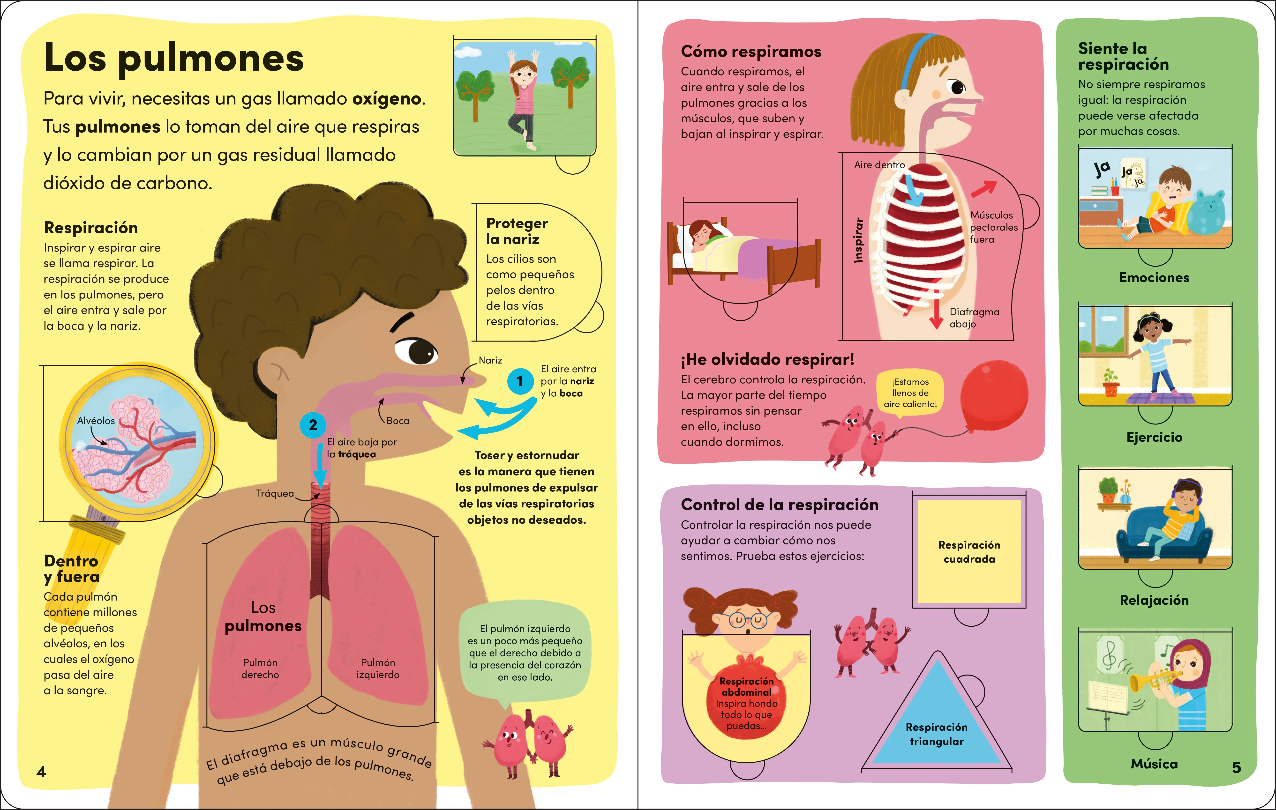 Yo y mi cuerpo (You and Your Body) - Image 3