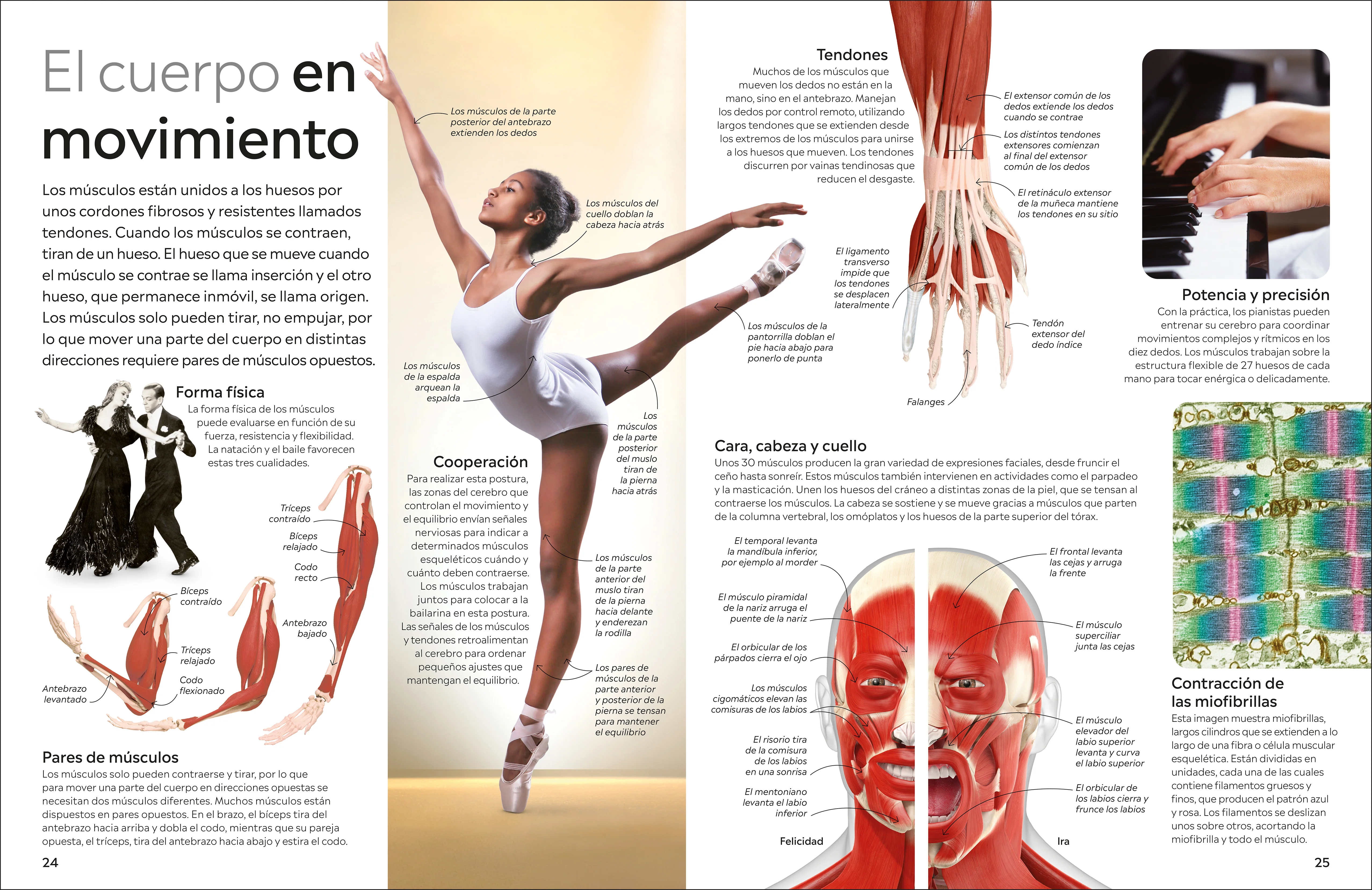 Eyewitness: Cuerpo humano (Human Body) - Image 3