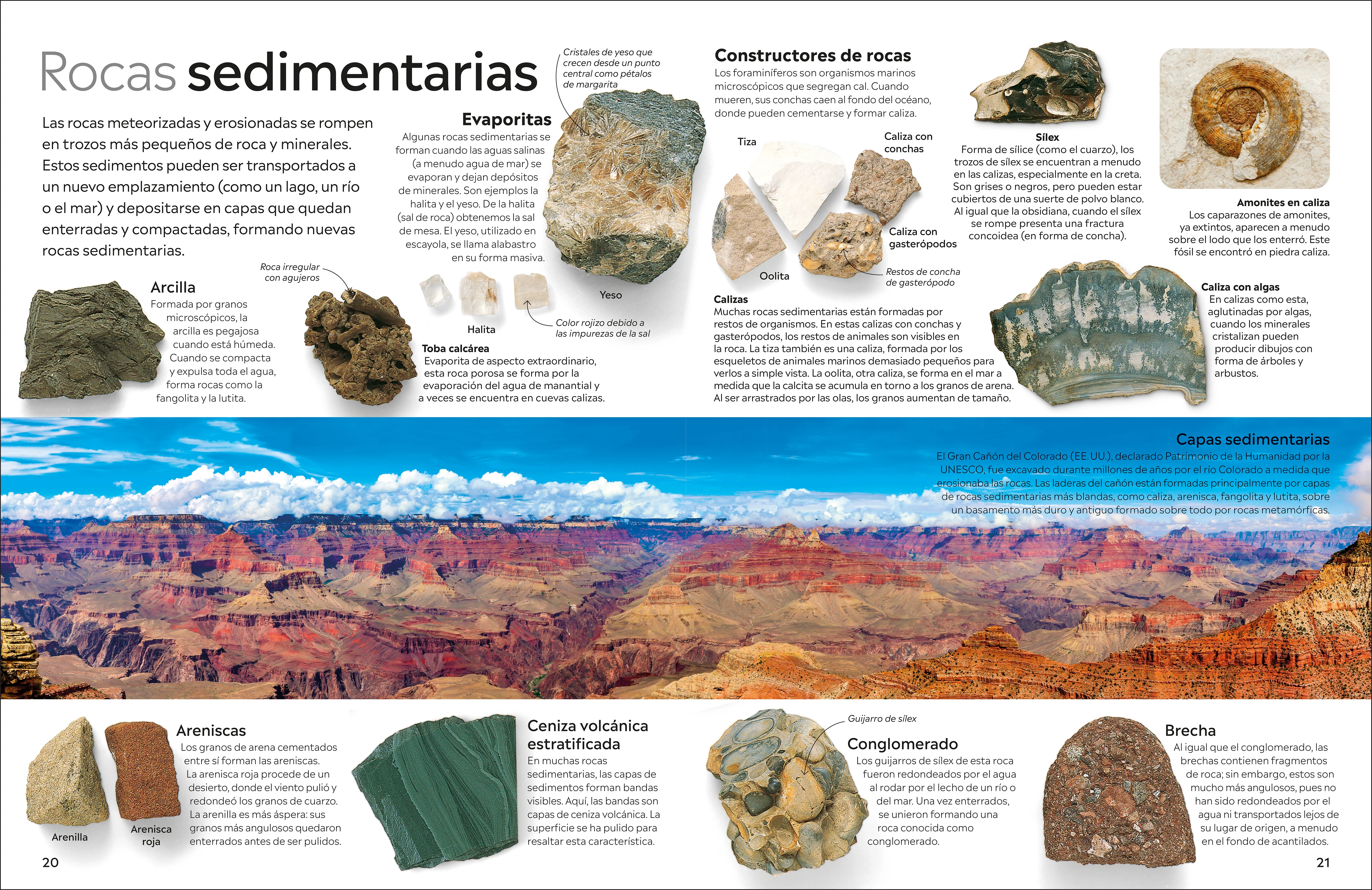 Eyewitness: Rocas y minerales (Rock and Mineral) - Image 6