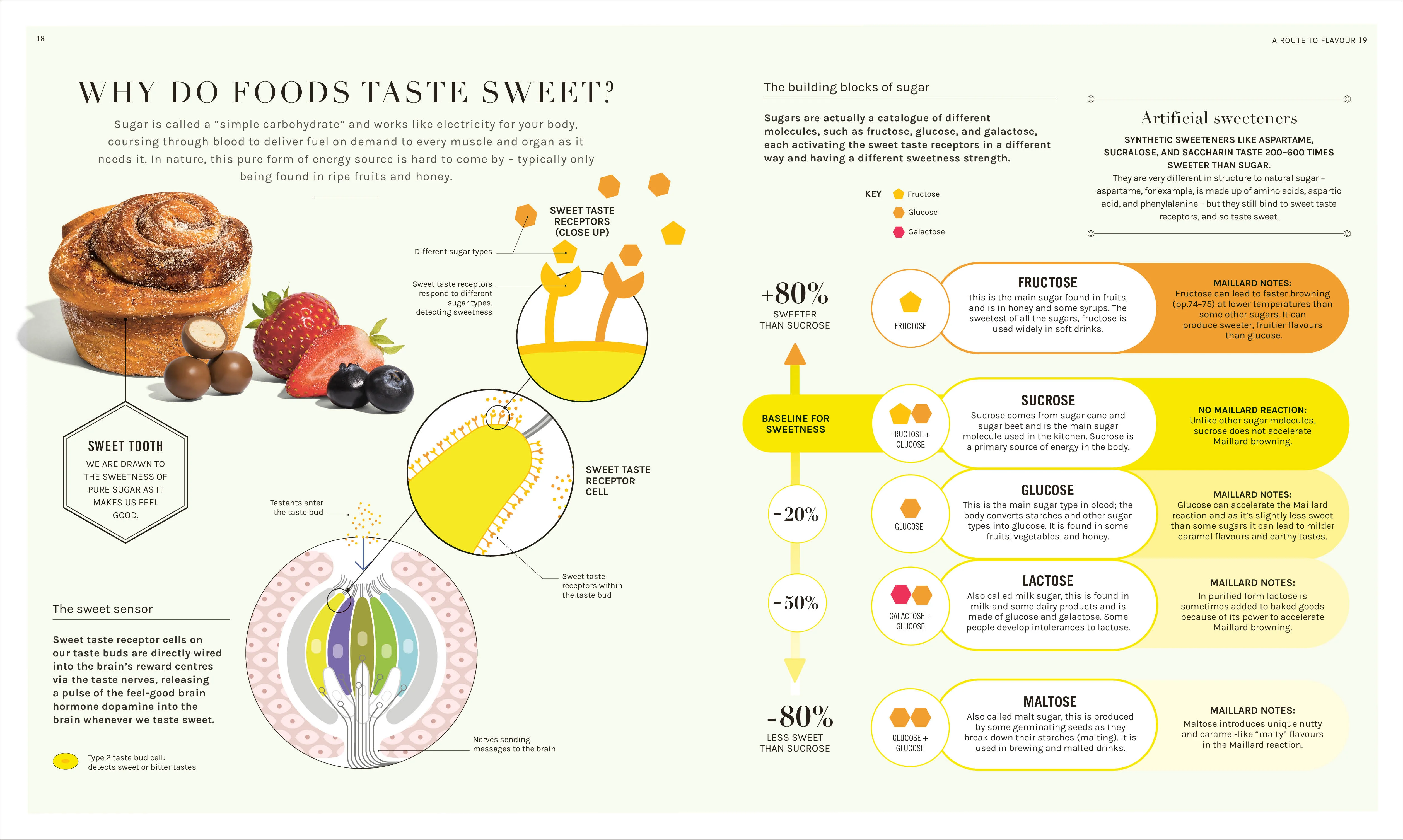 The Science of Flavor - Image 3