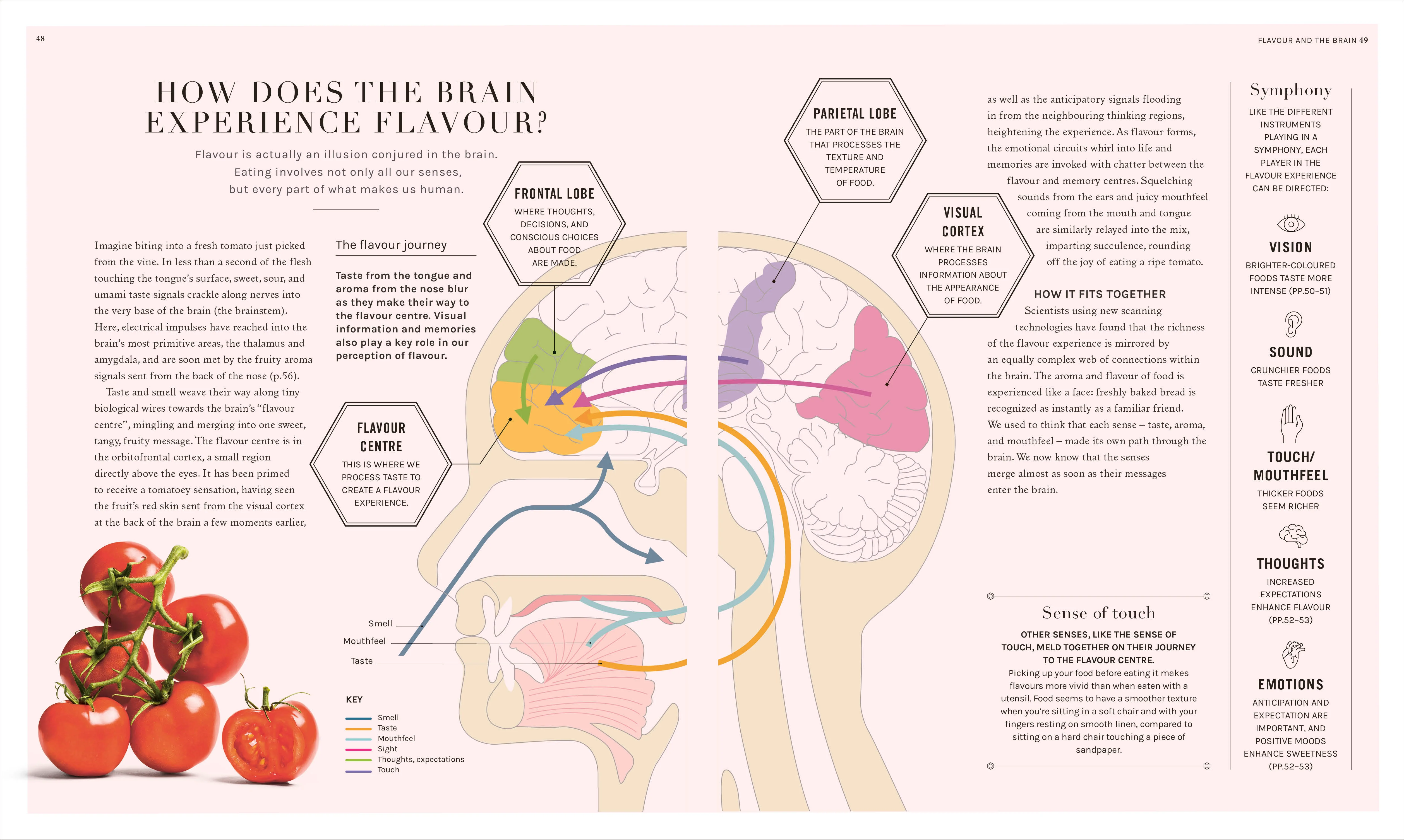 The Science of Flavor - Image 4