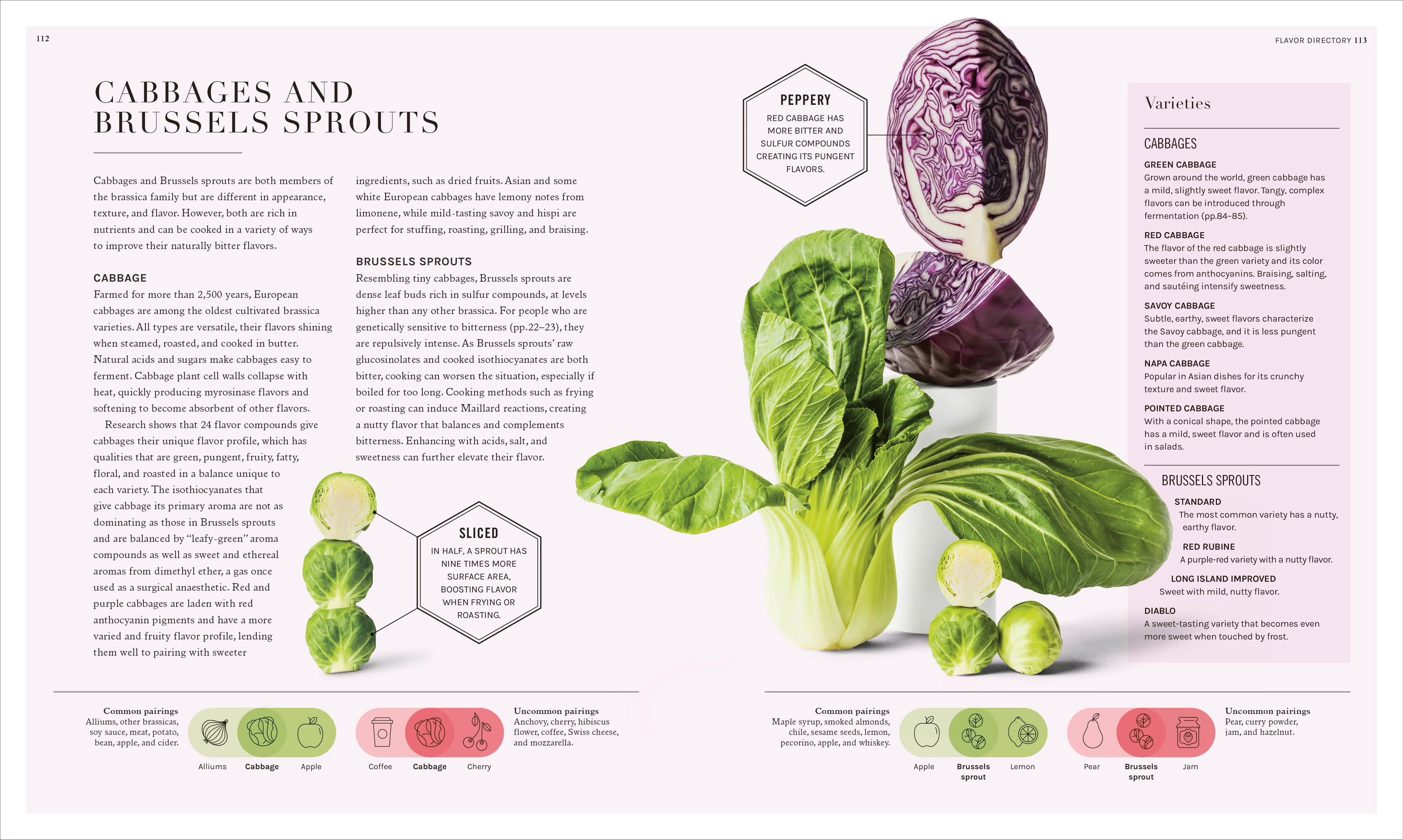 The Science of Flavor - Image 5