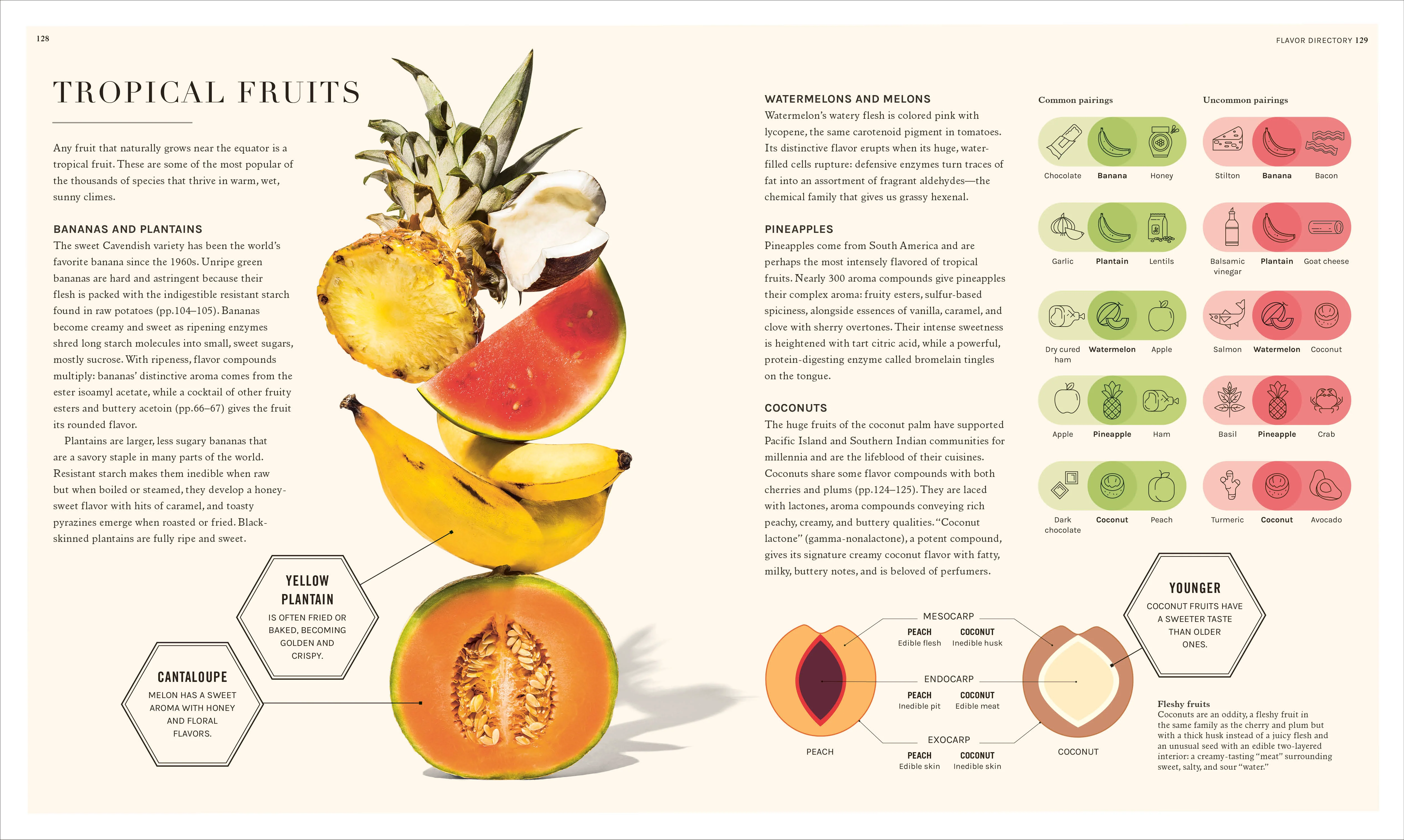 The Science of Flavor - Image 6