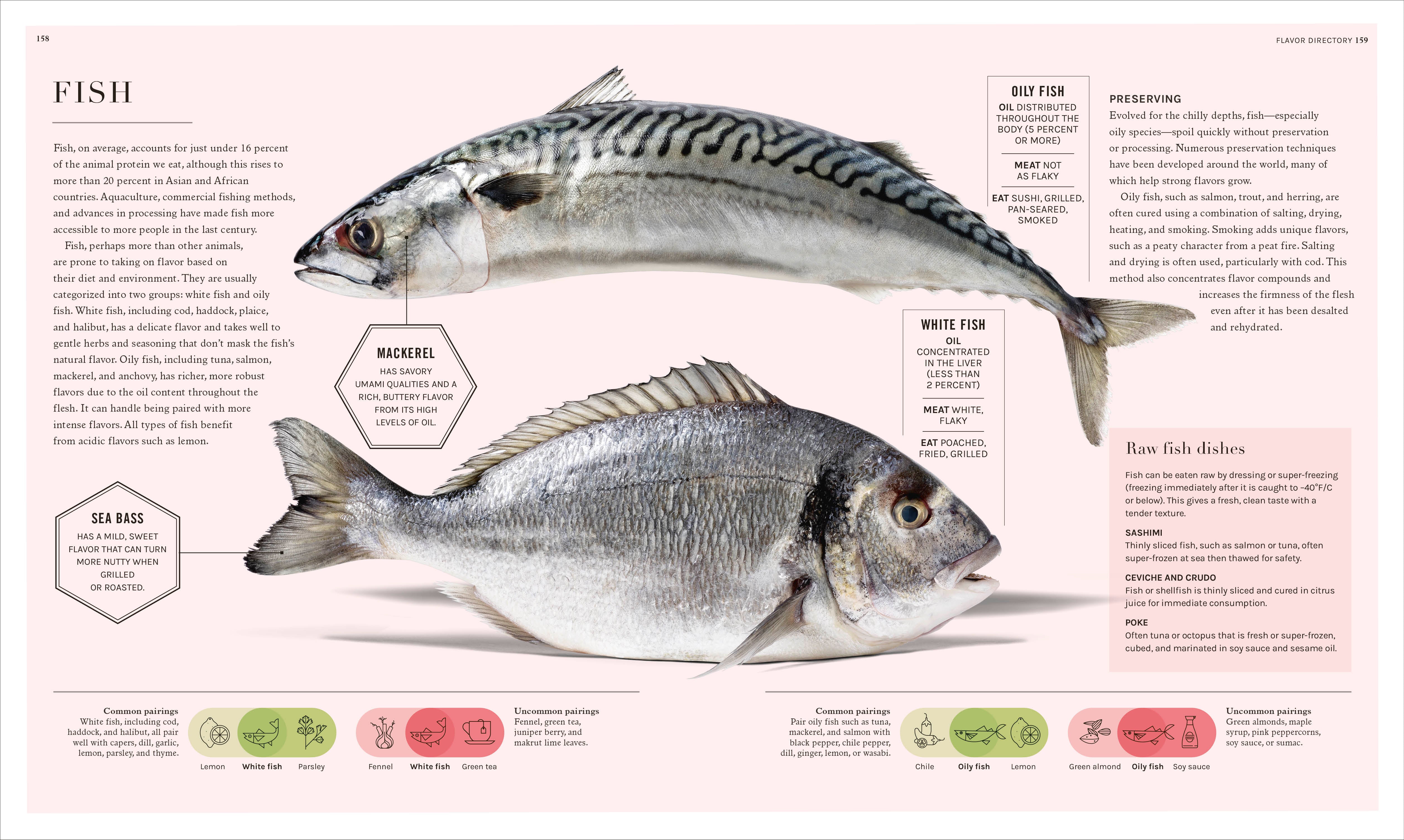 The Science of Flavor - Image 7