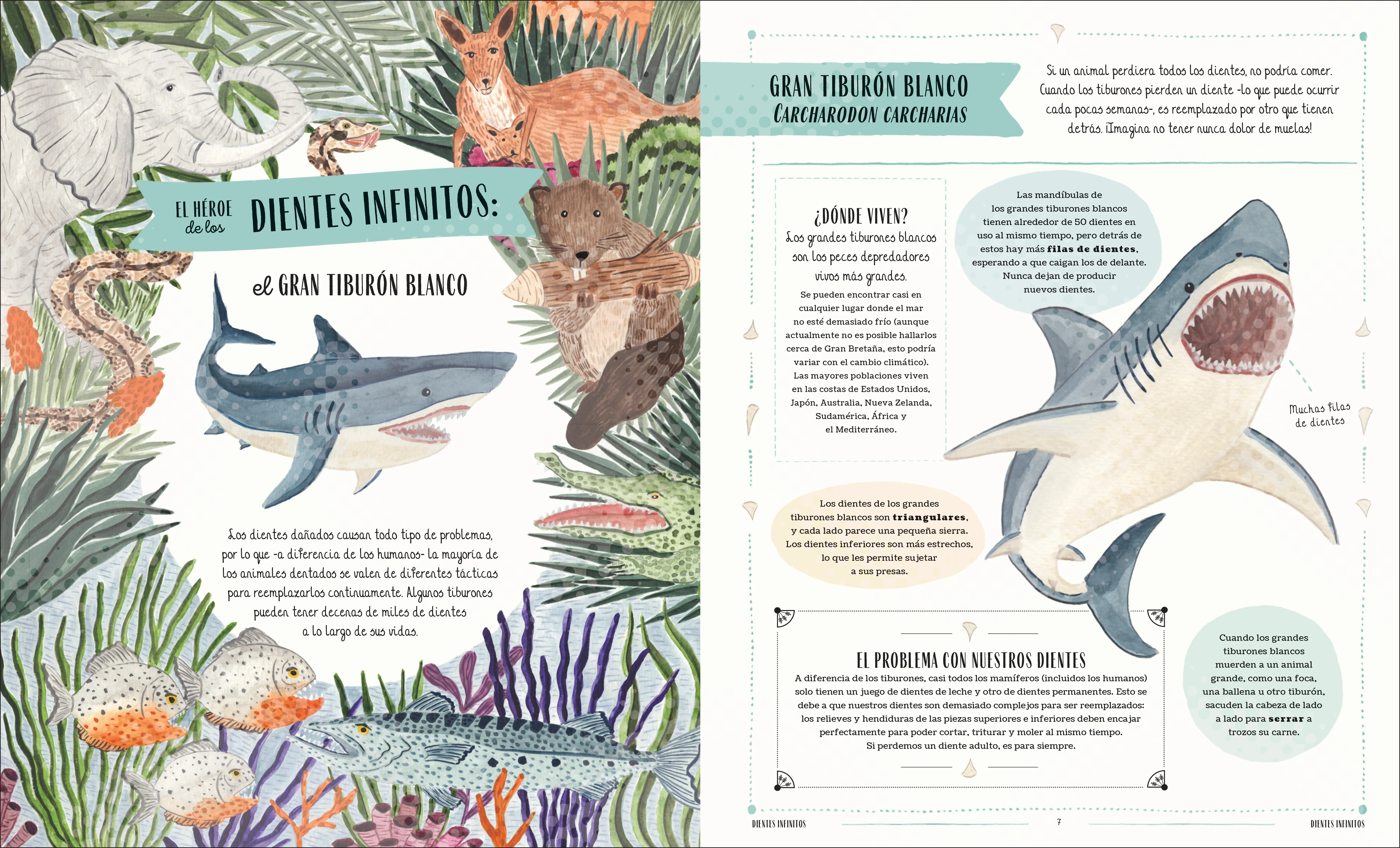 Fauna (Wild) - Image 2