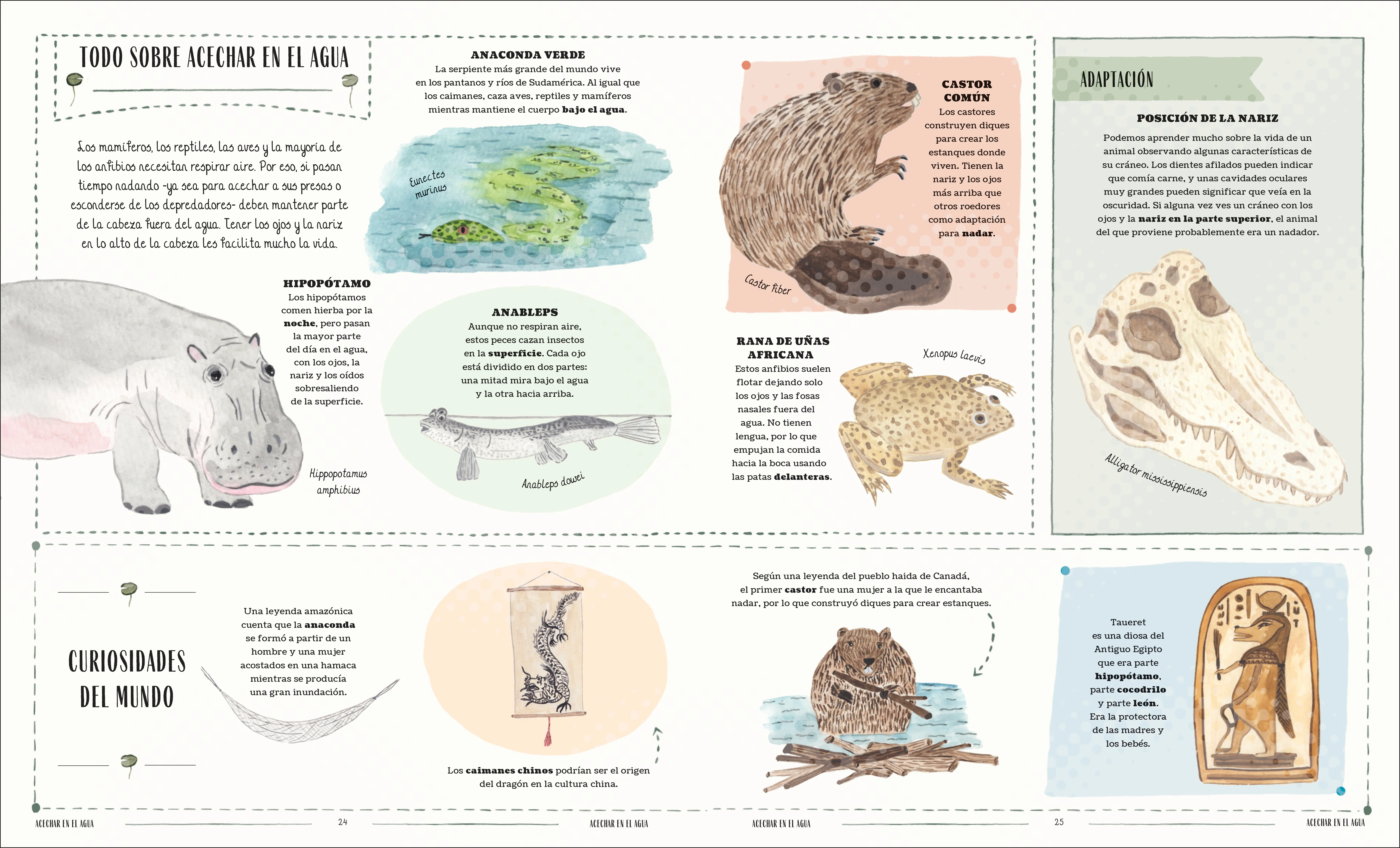 Fauna (Wild) - Image 5