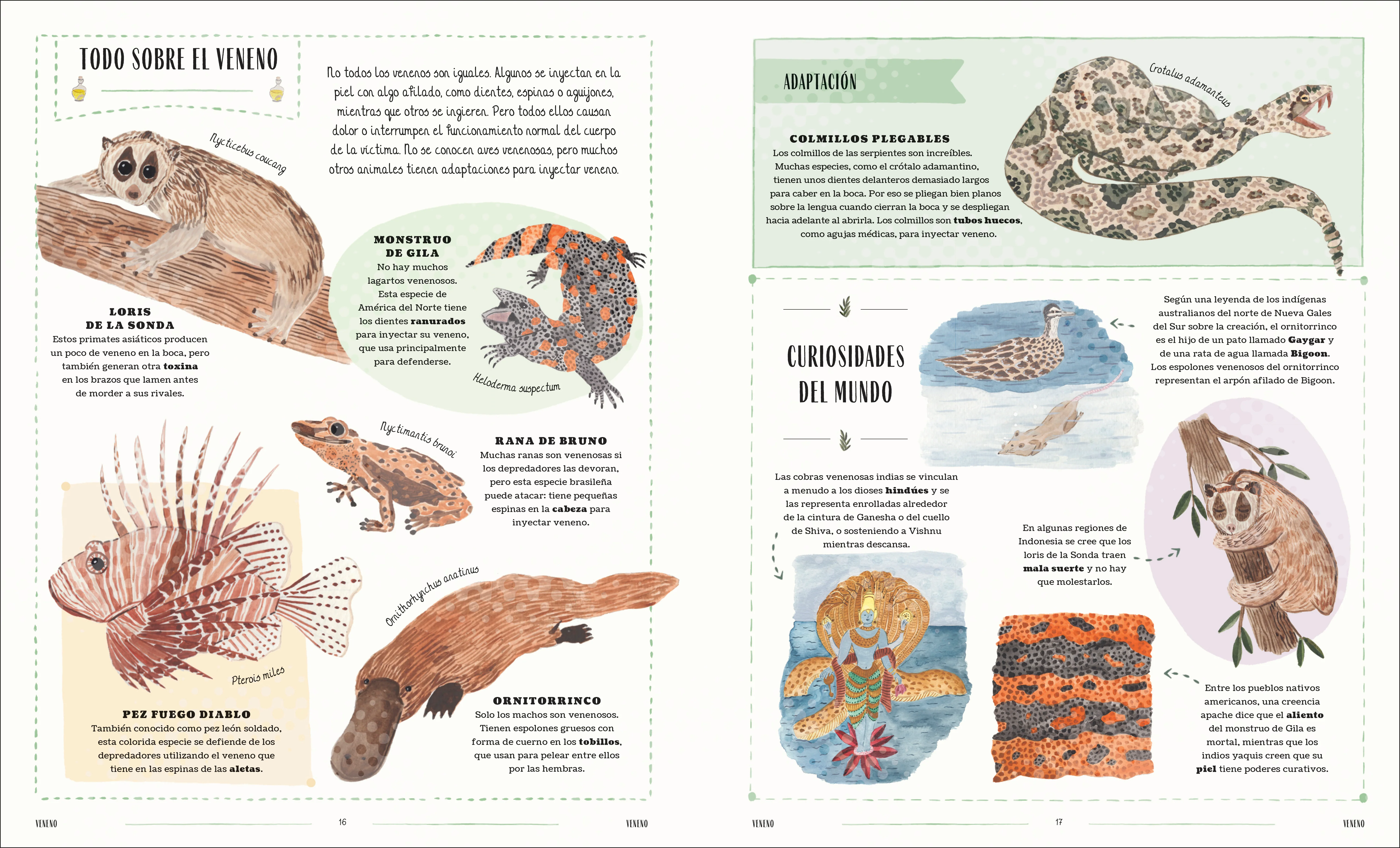 Fauna (Wild) - Image 6