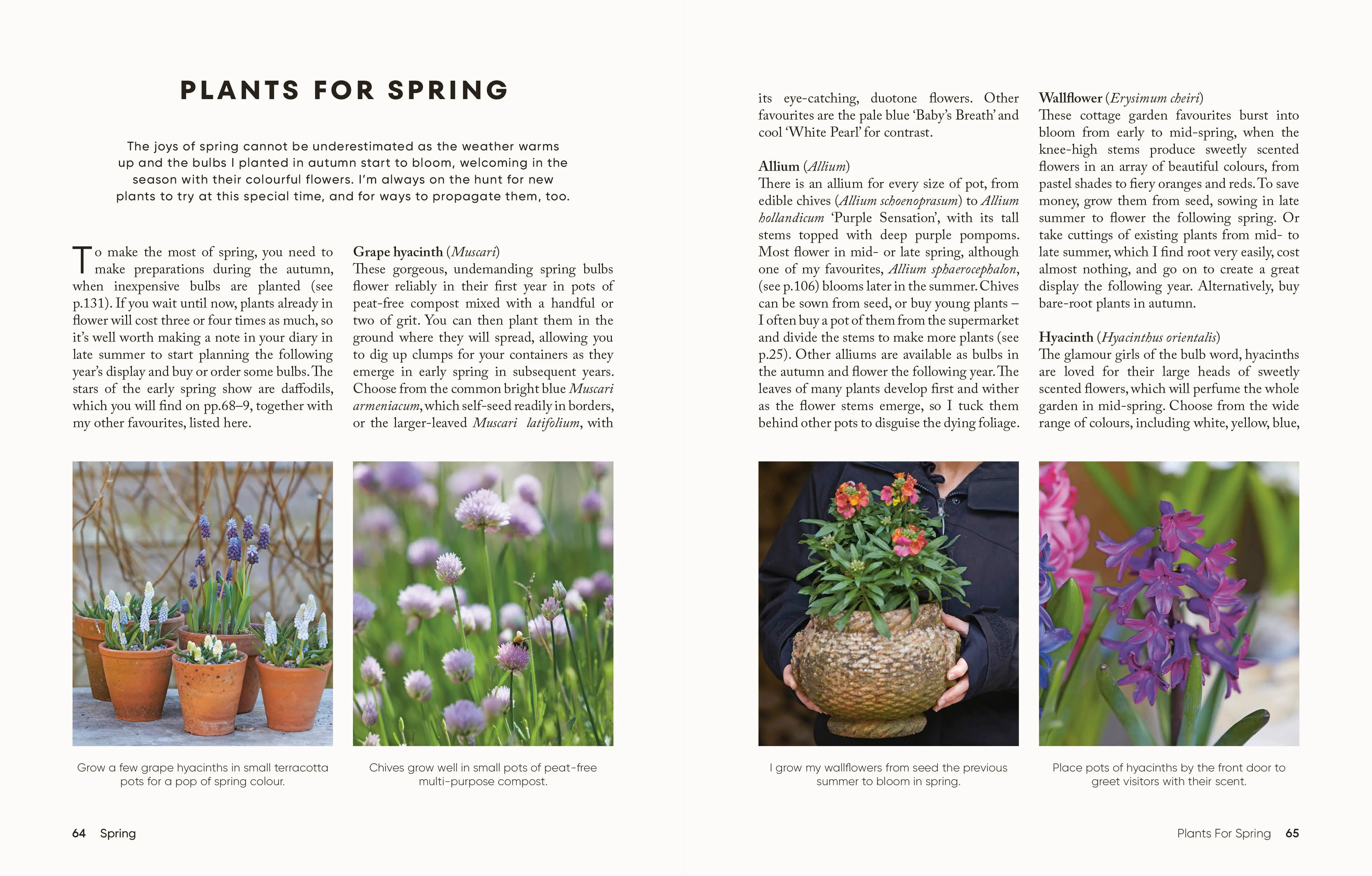 The Money-Saving Gardener Containers - Image 4
