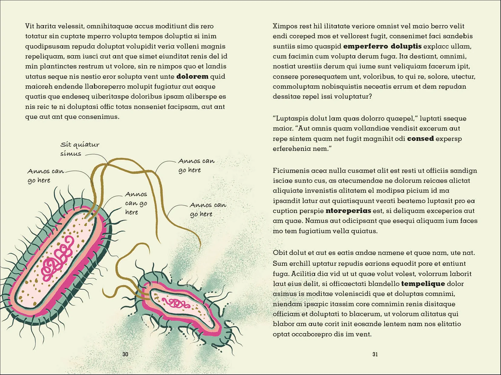 Project Penicillin - Image 5