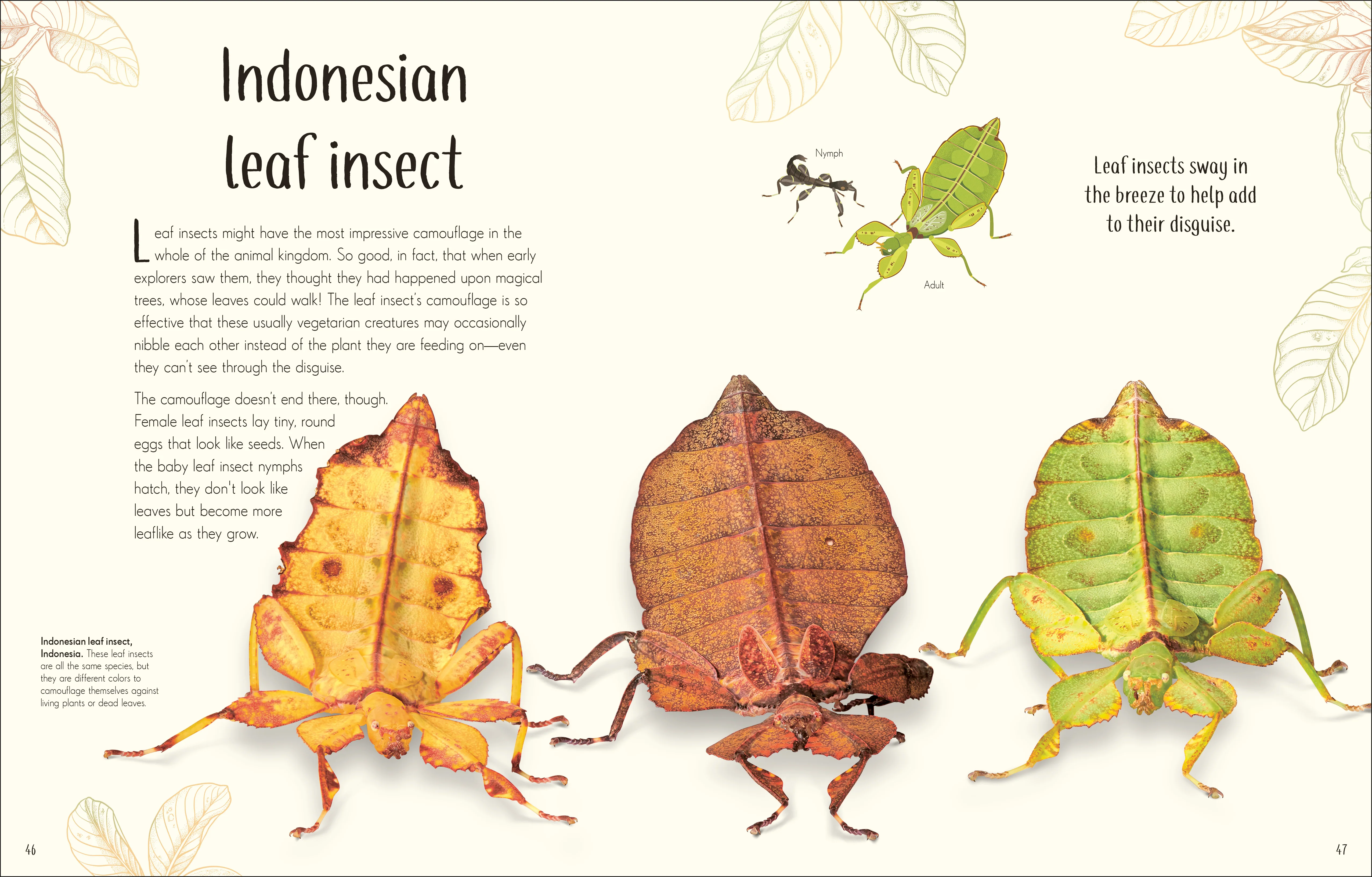 An Anthology of Remarkable Bugs - Image 4
