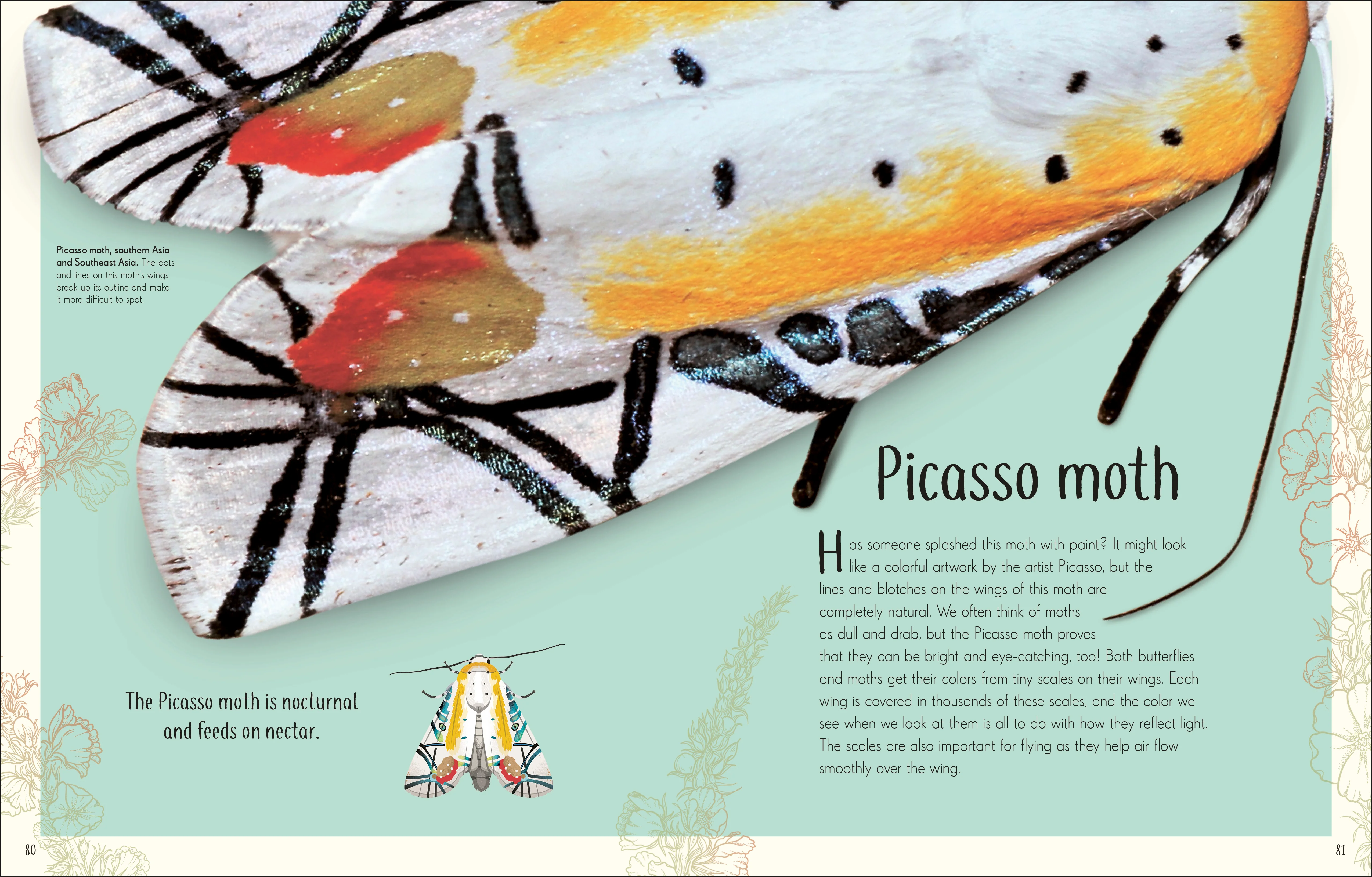 An Anthology of Remarkable Bugs - Image 5