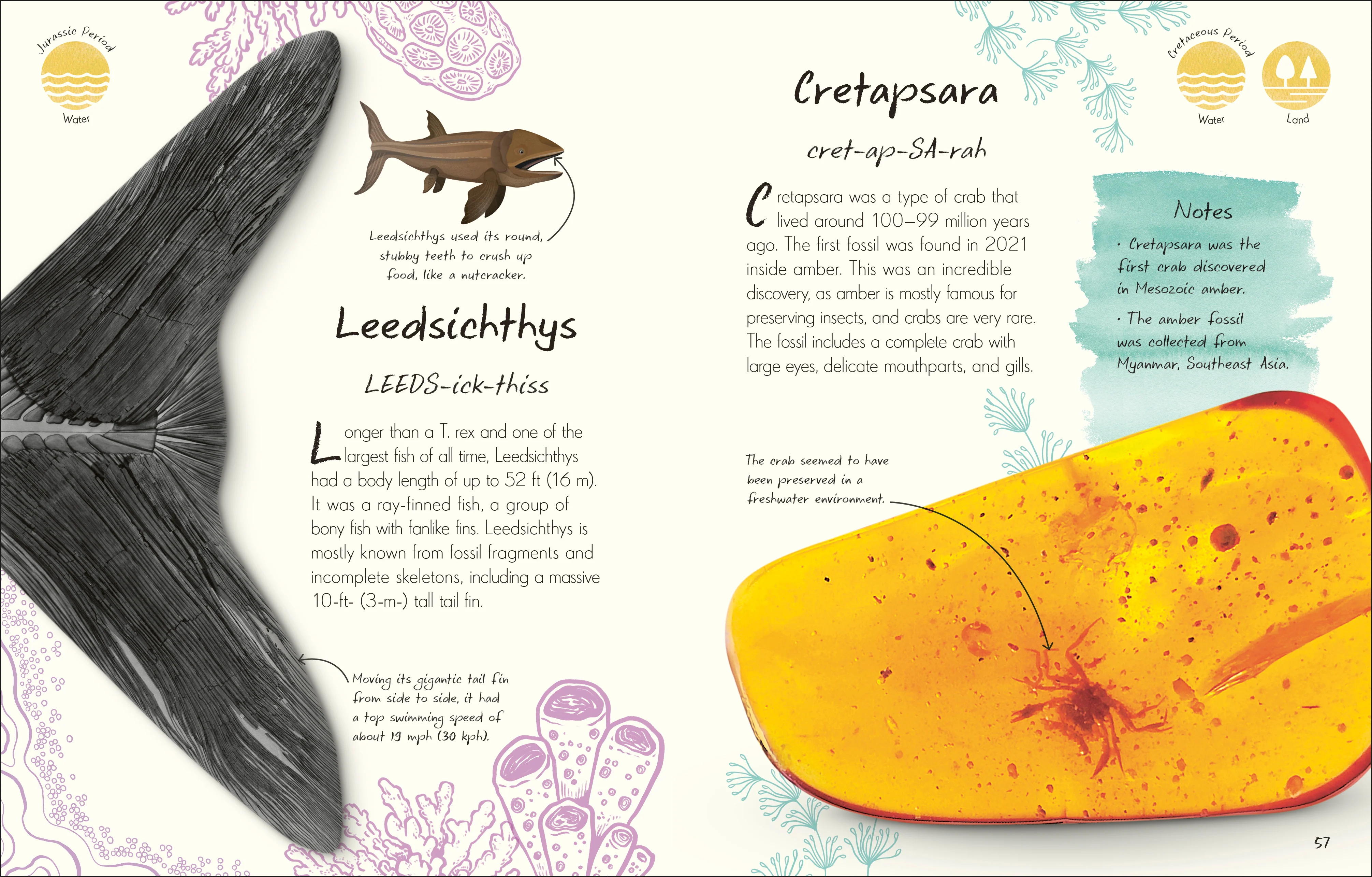 An Anthology of Fossils - Image 2