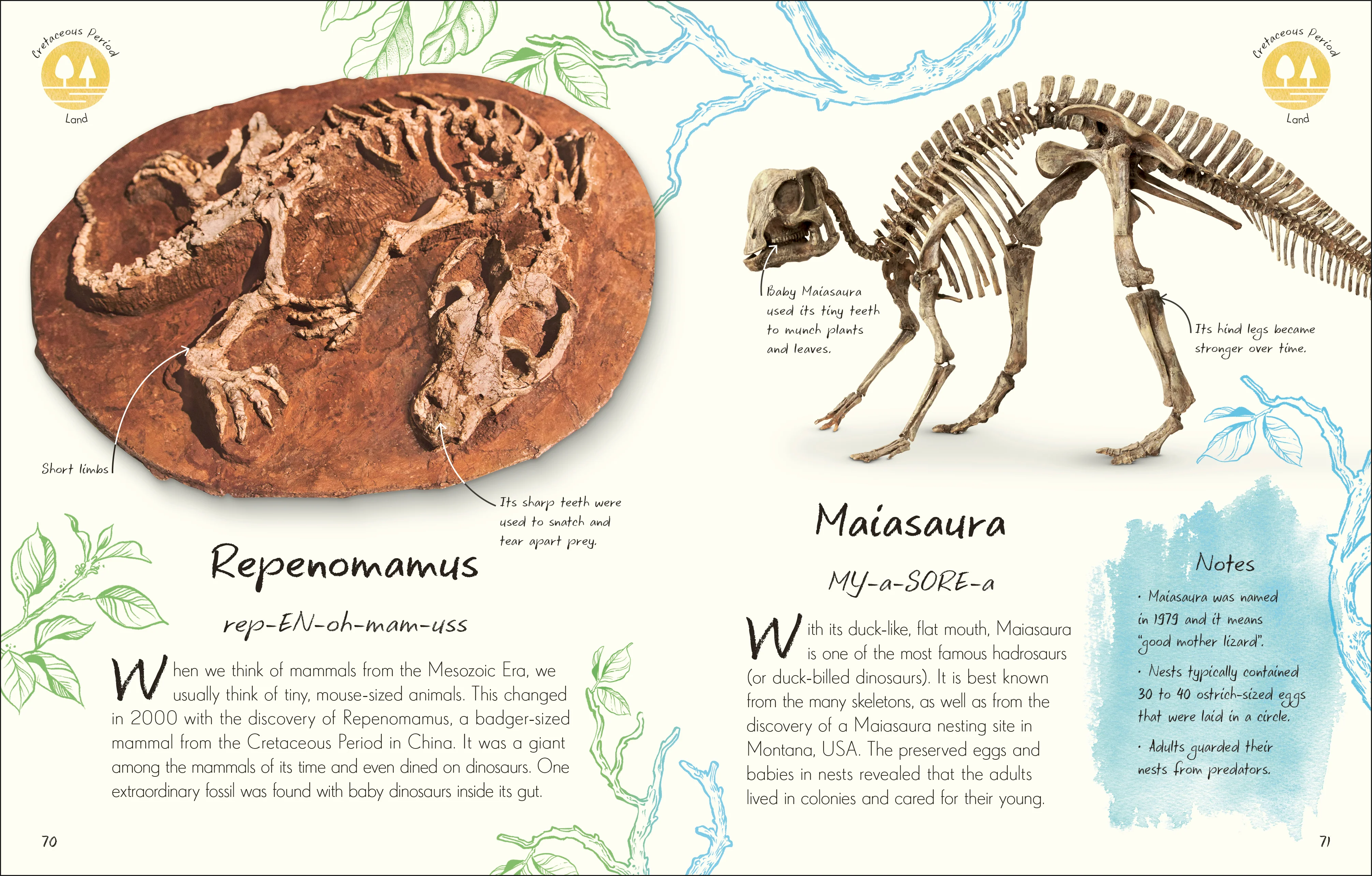 An Anthology of Fossils - Image 3