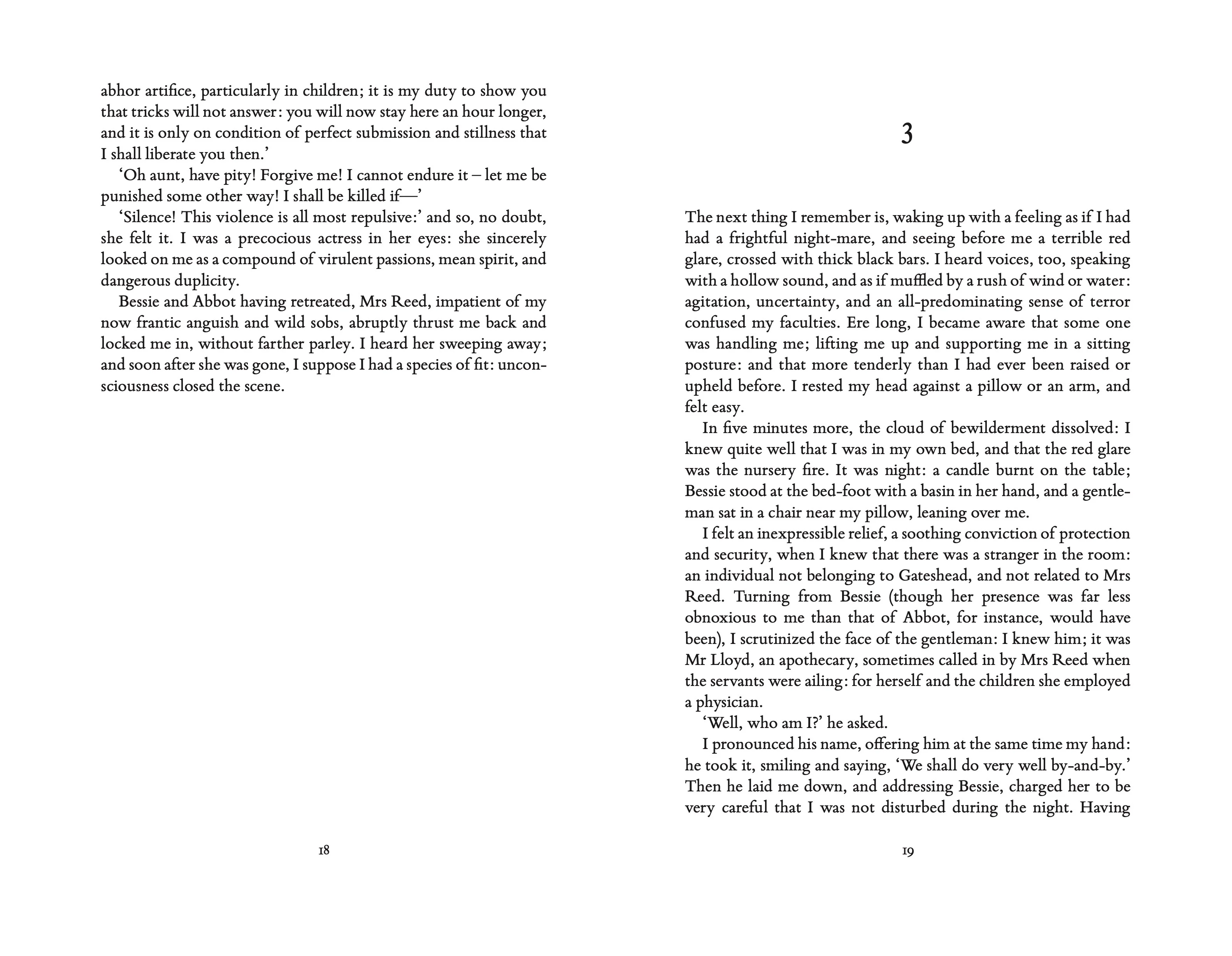 Jane Eyre (DK Classics) - Image 9