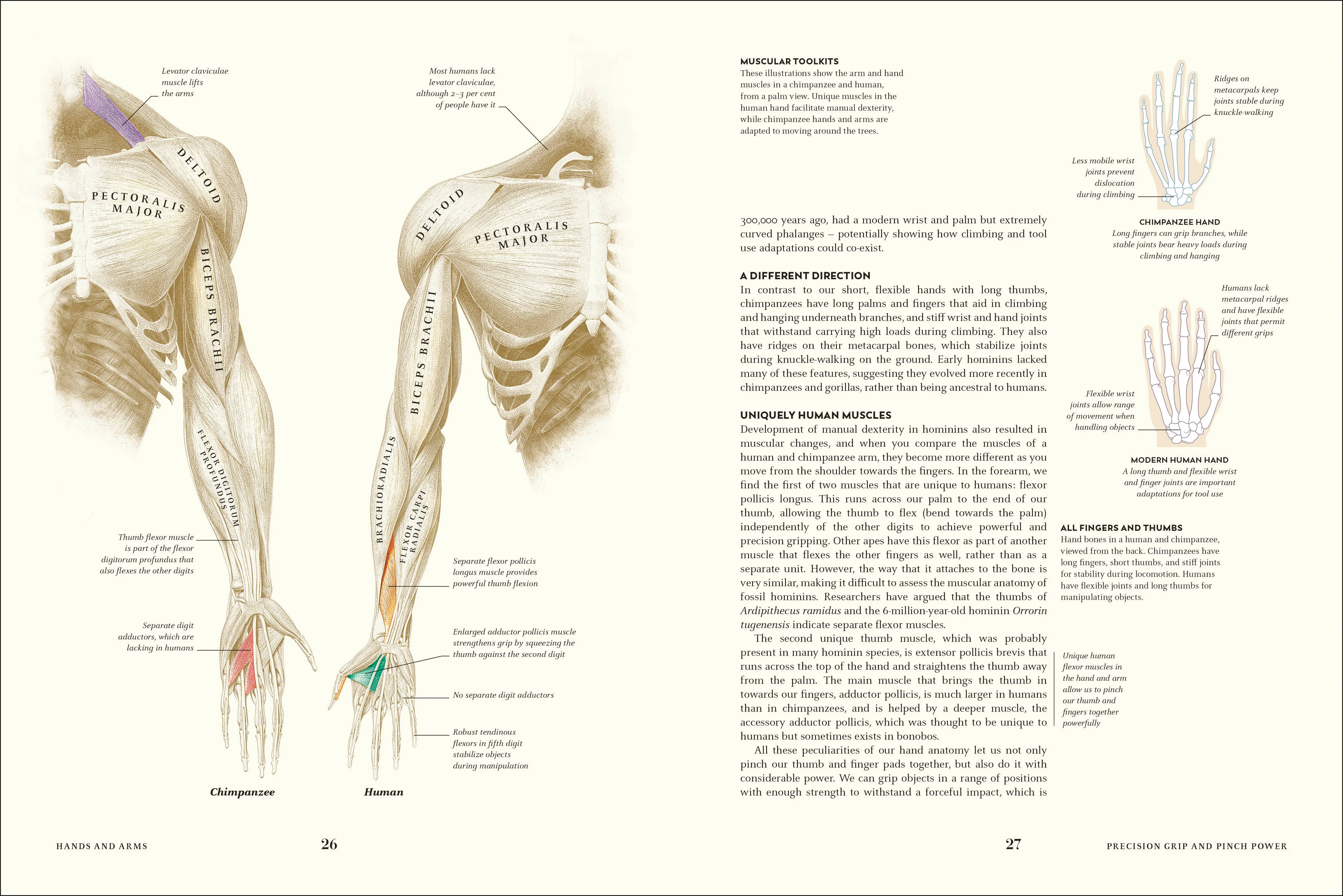 Humans - Image 3