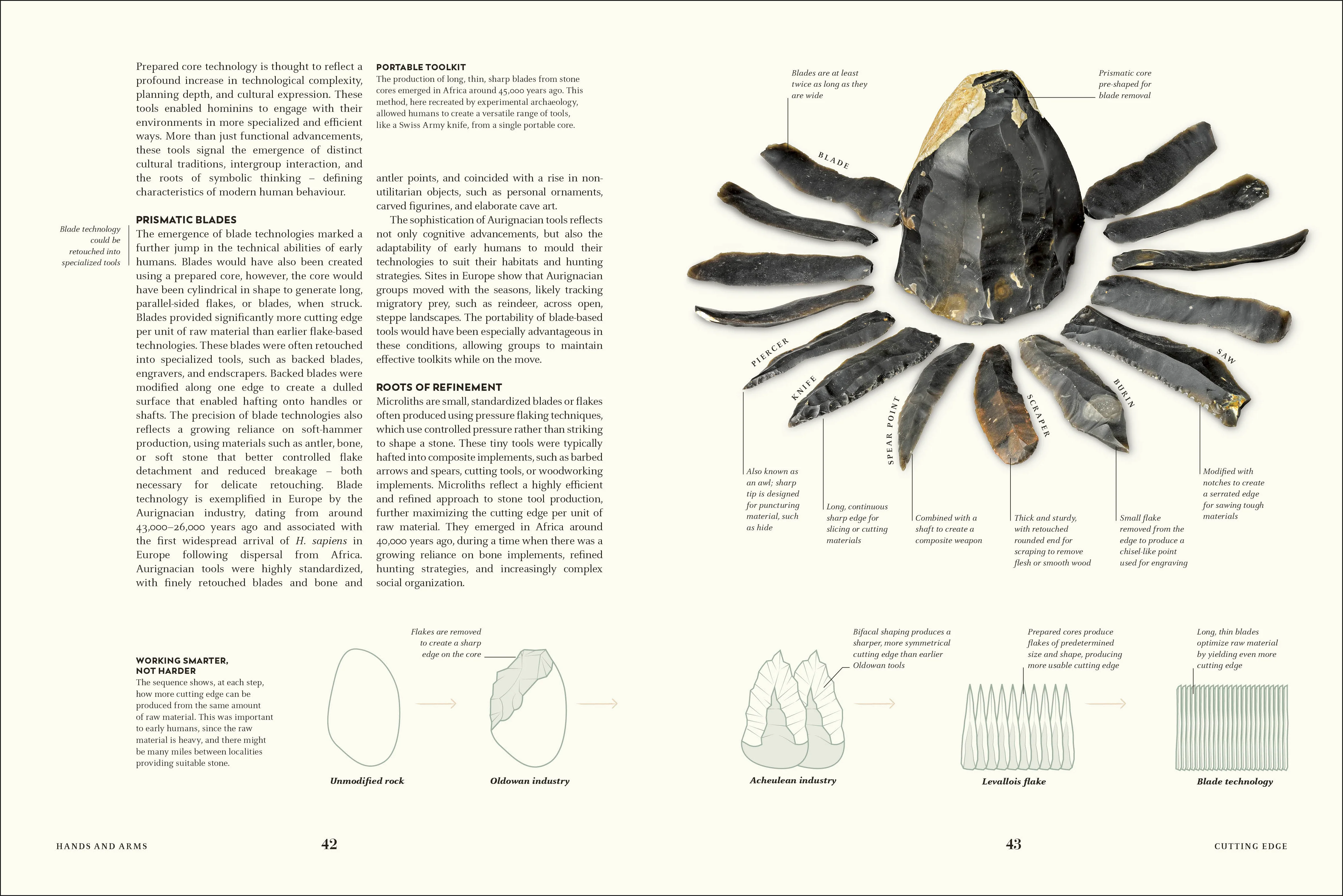 Humans - Image 5