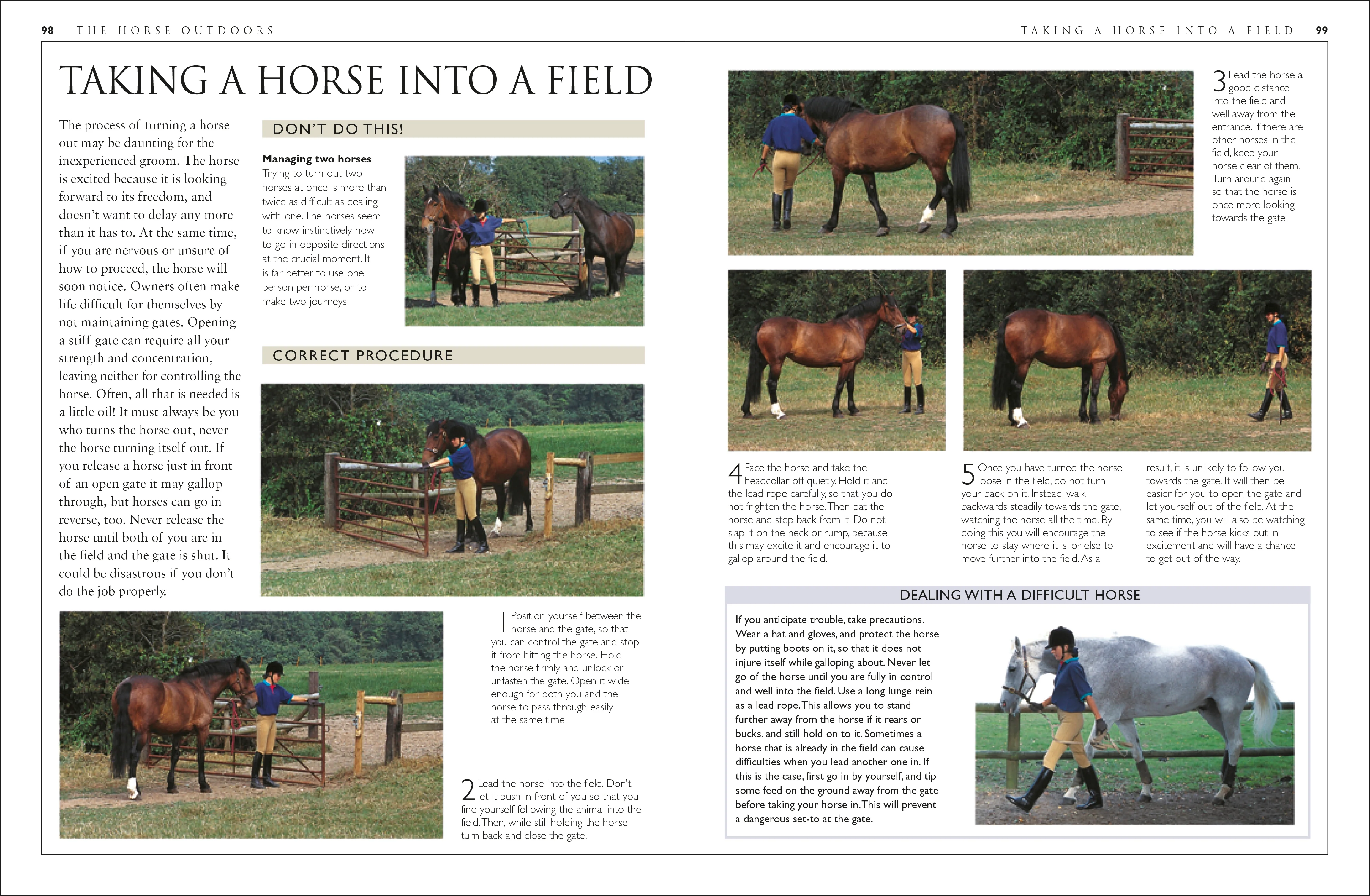 Complete Horse Care Manual - Image 10