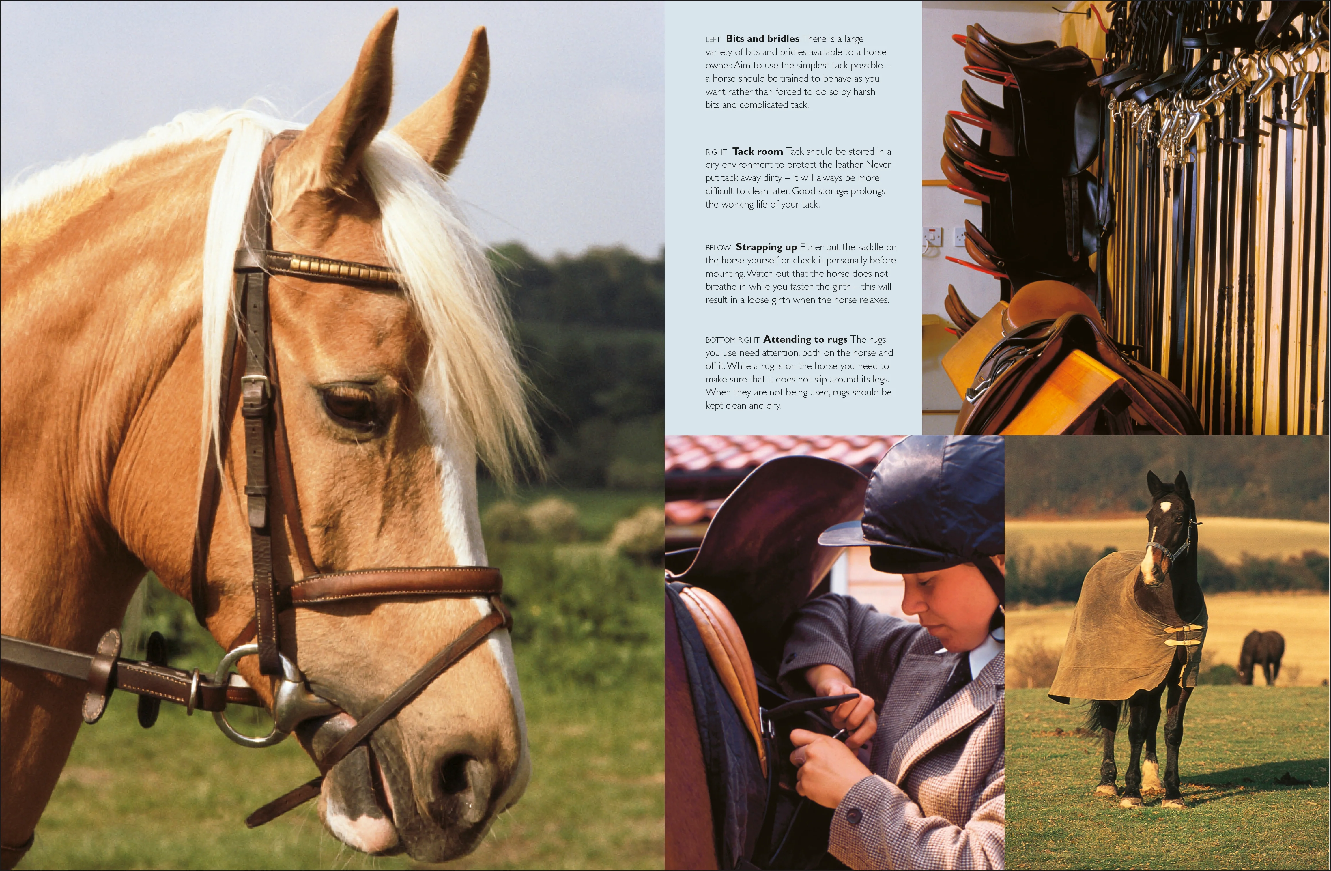 Complete Horse Care Manual - Image 11